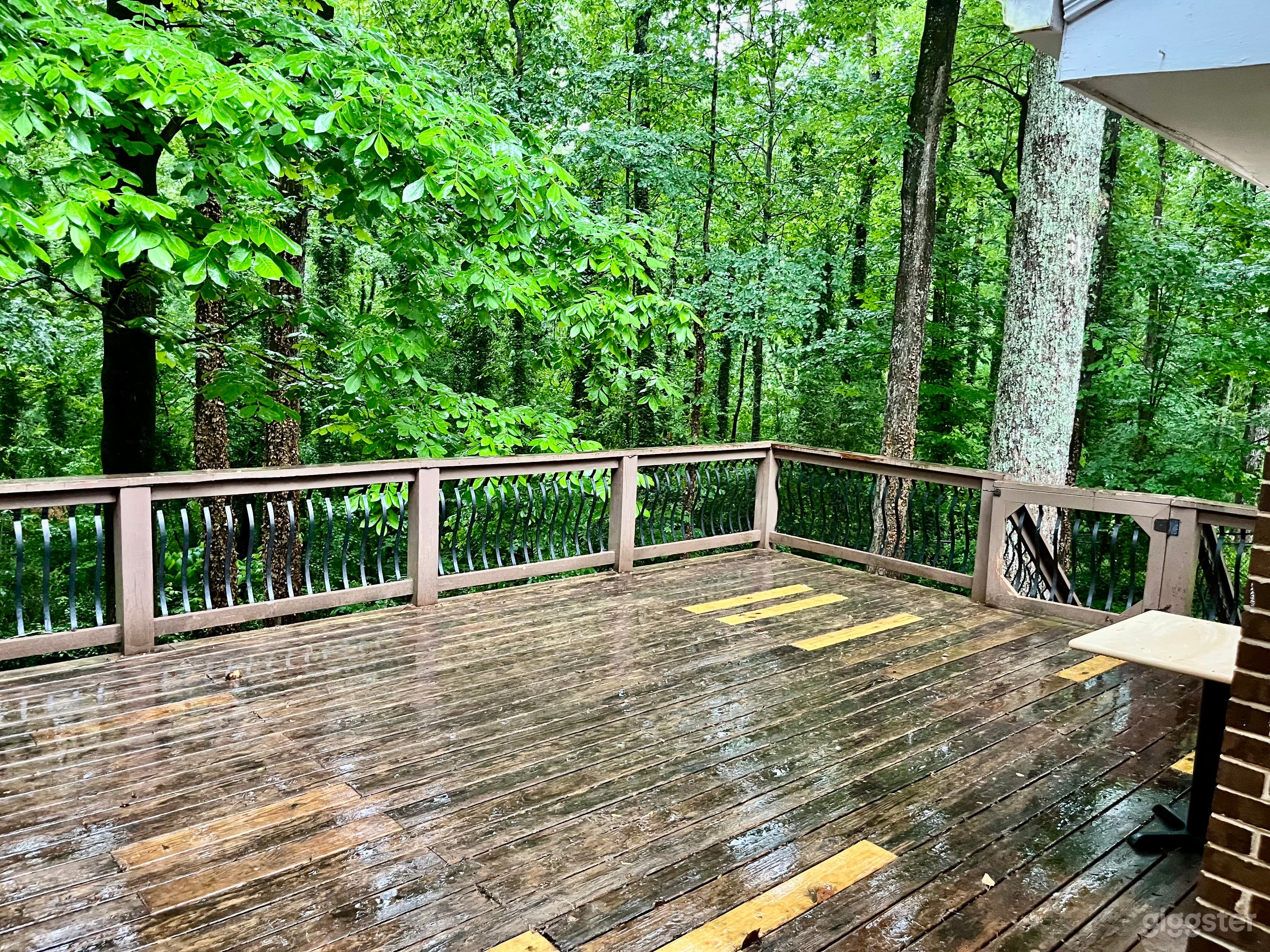 Backyard Space for Filming Near Abernathy Park Photo 1