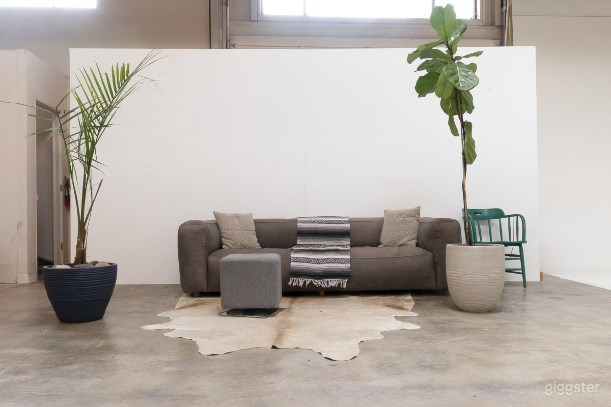 Modern Living room set-up