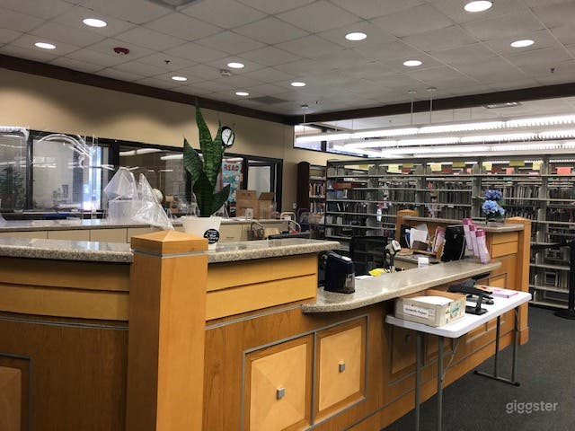  Public Library in Central Branch 