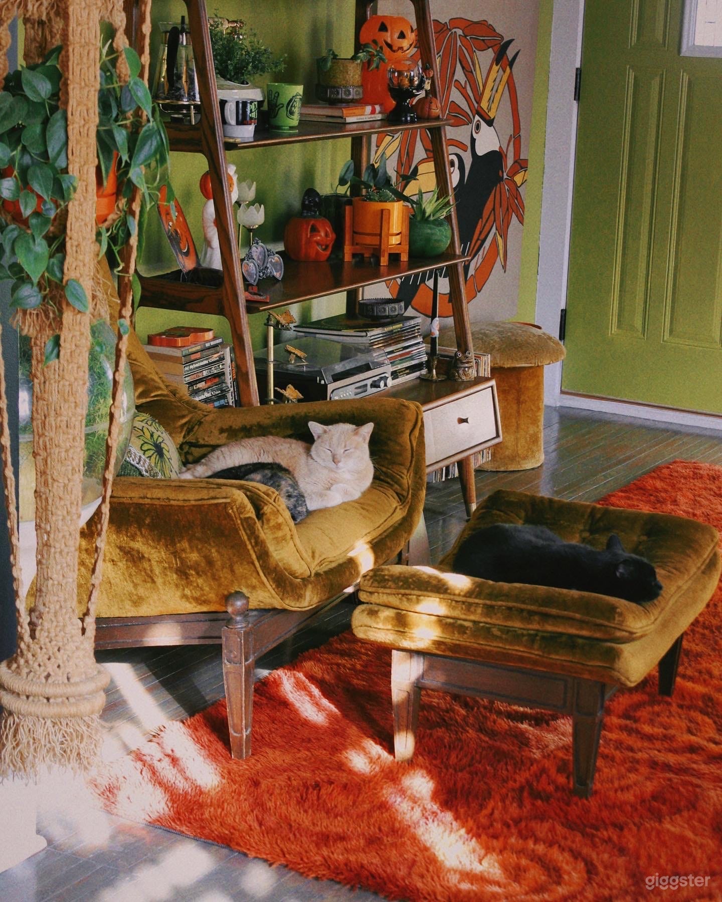 Retro 1970s Sunshiny Home Photo 1