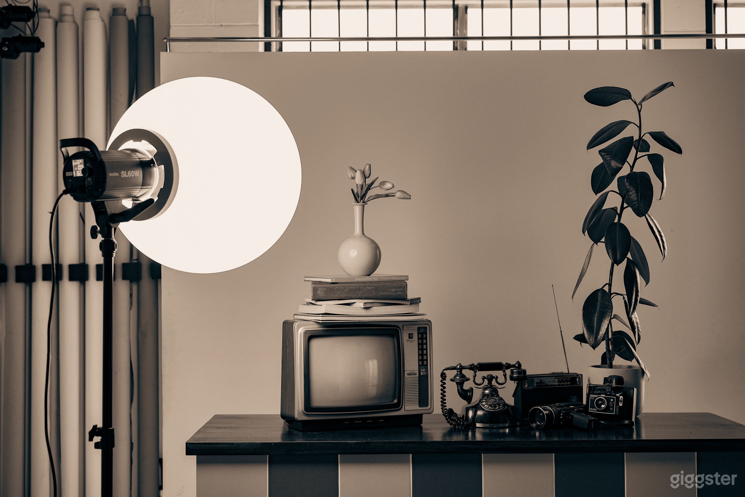 Flavr Studios - Gold Coast Photo Studio Photo 4