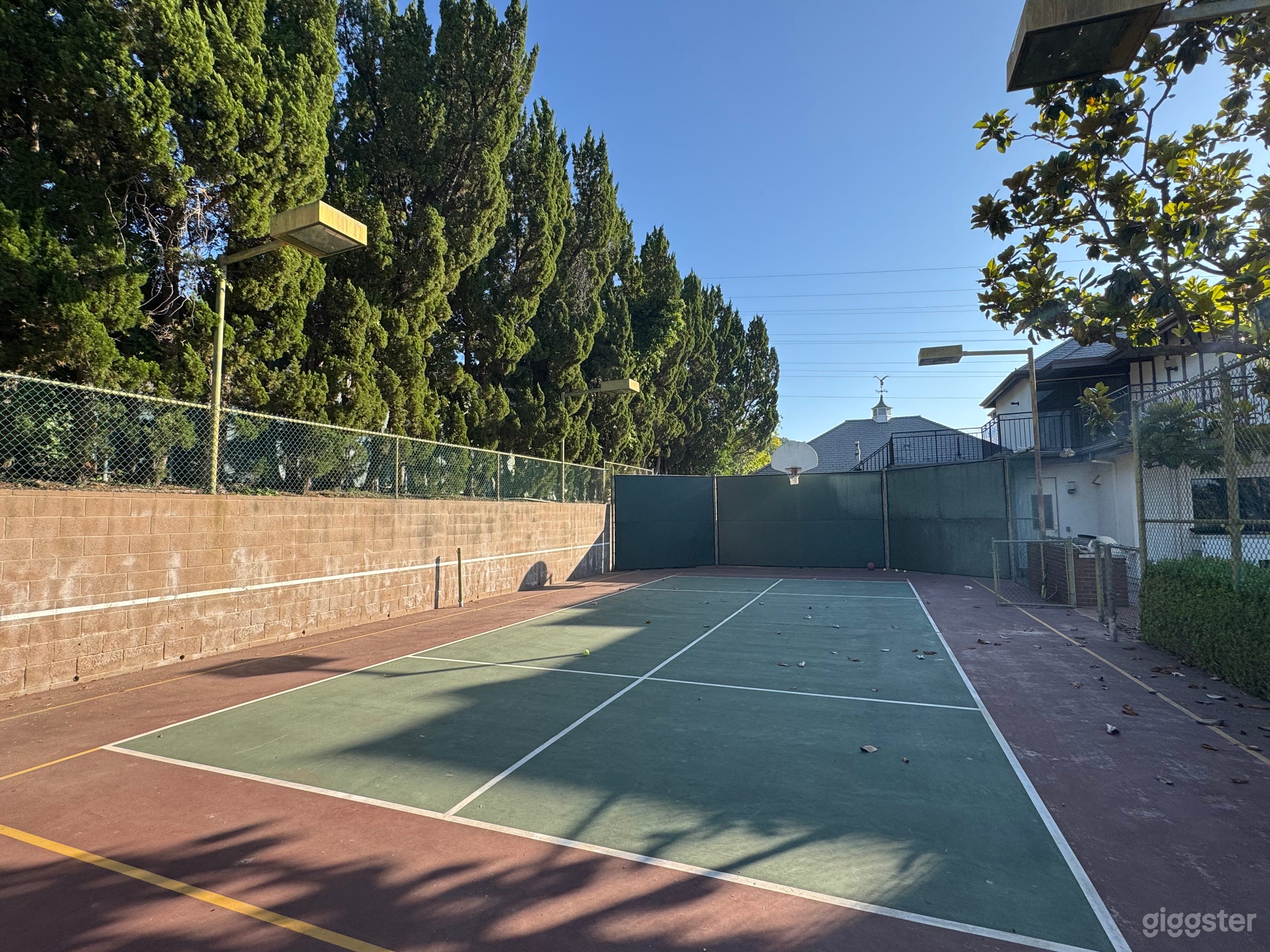 Private Outdoor Basketball Court with Lake Views Photo 1