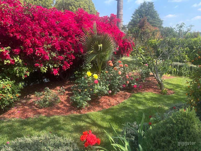  Enchanted Storybook Garden and Backyard 