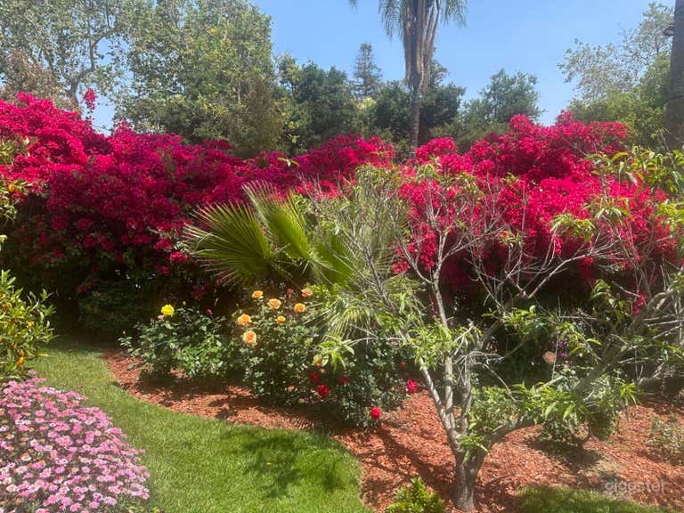  Enchanted Storybook Garden and Backyard 