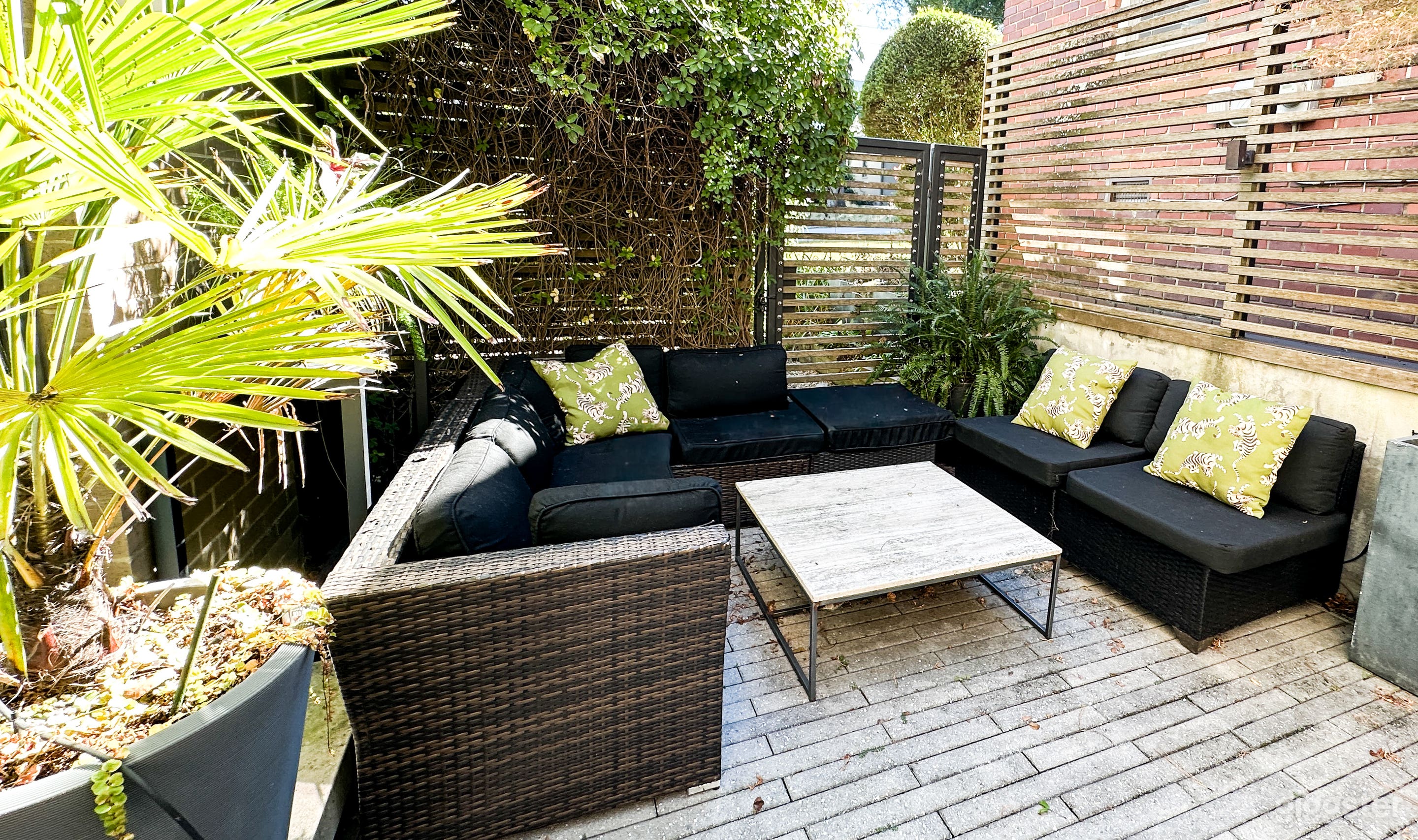 Ashley’s Eye: Modern Urban Oasis Photo 4