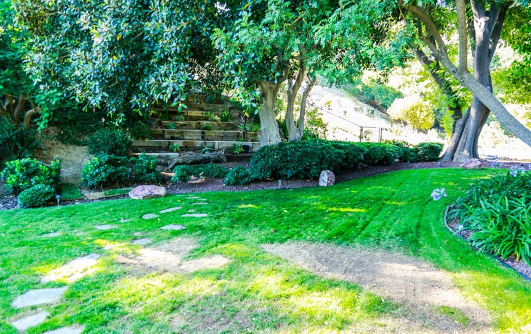  Ranch Like Property • Tropical & Desert Combined 