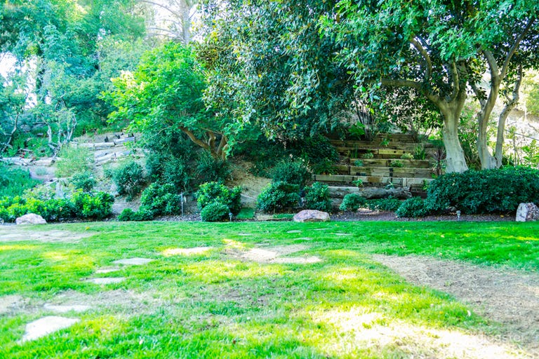  Ranch Like Property • Tropical & Desert Combined 