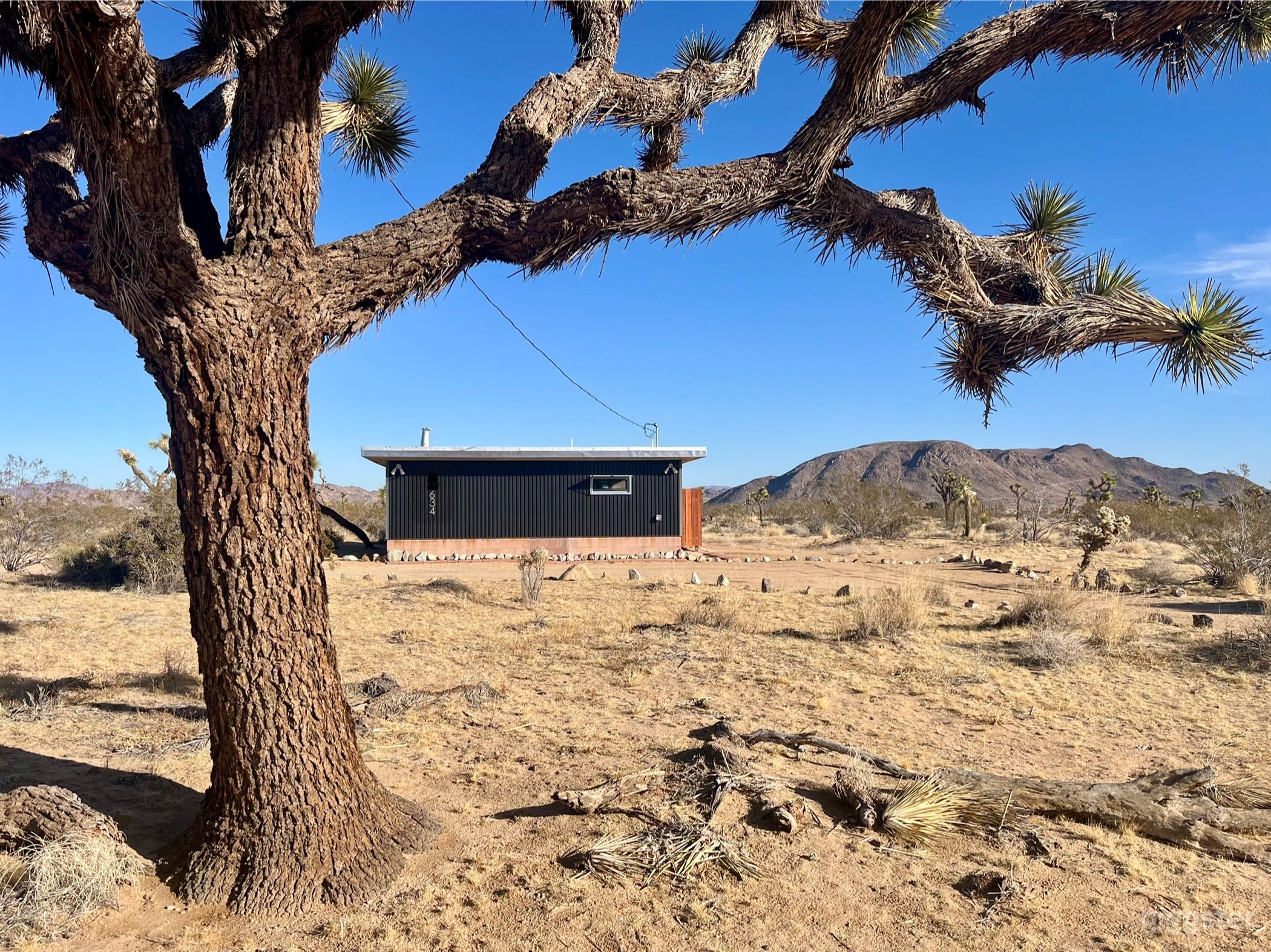 1957 mid-century modern homestead cabin with Goat Mountain in the distance. 5-acre yard with iconic Joshua Trees and cholla cactuses.