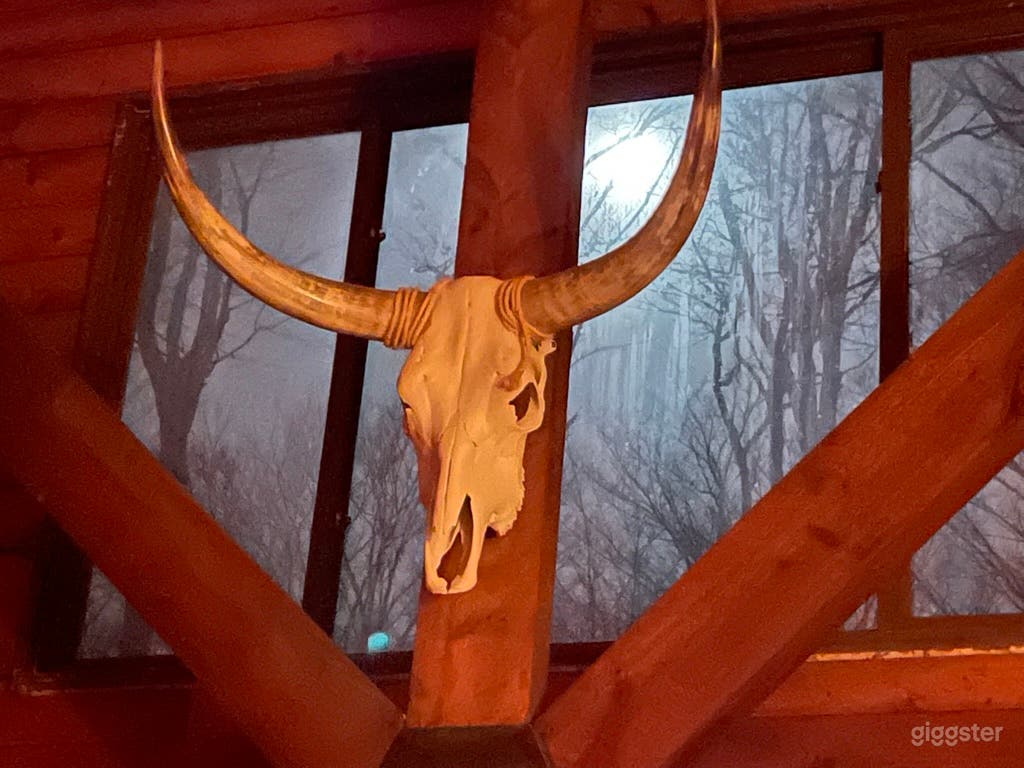 Log Home in the Finger Lakes, New York Photo 3