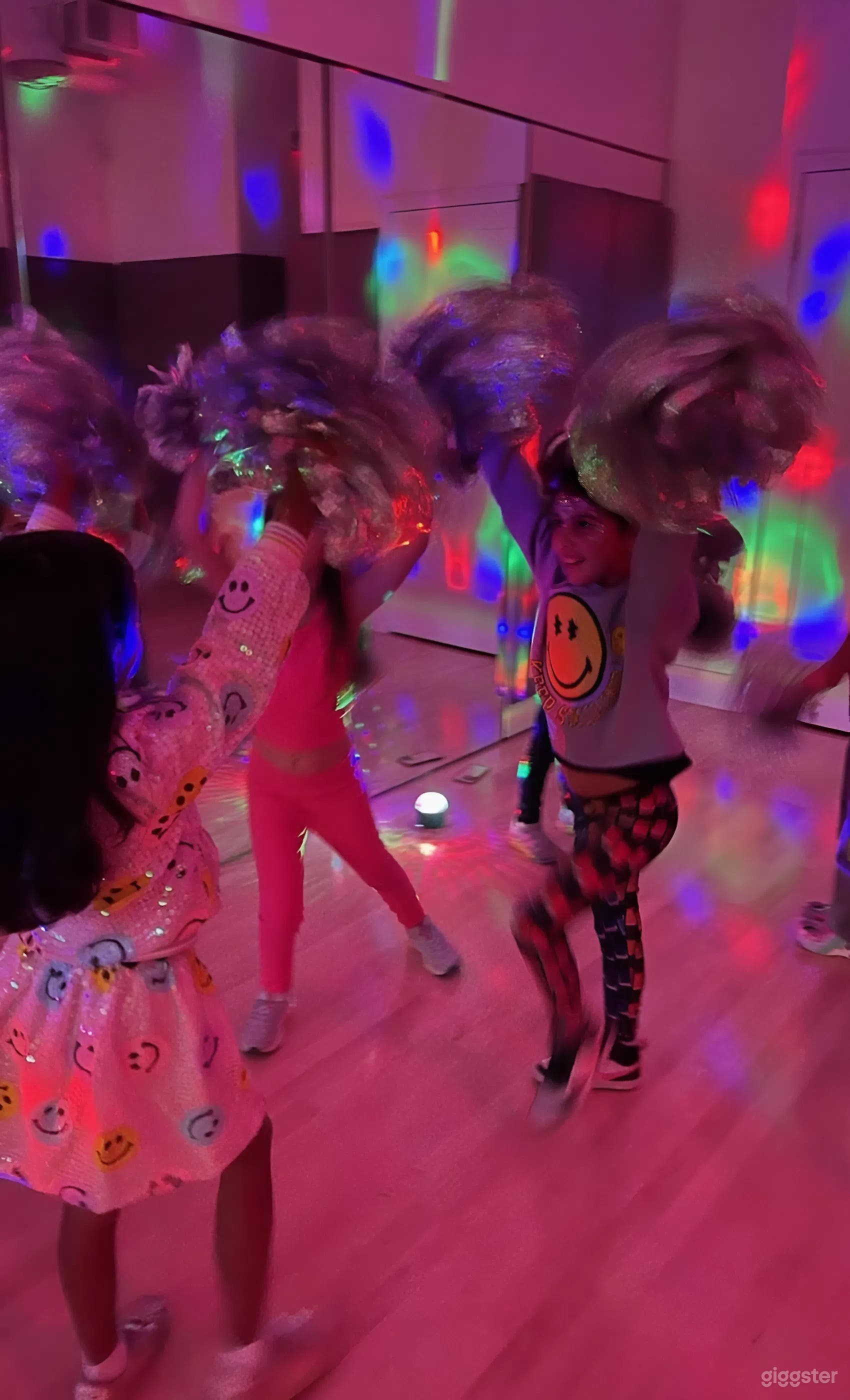 Spacious 510 sq. ft. Studio with Mirrors, Wood Floors Photo 4