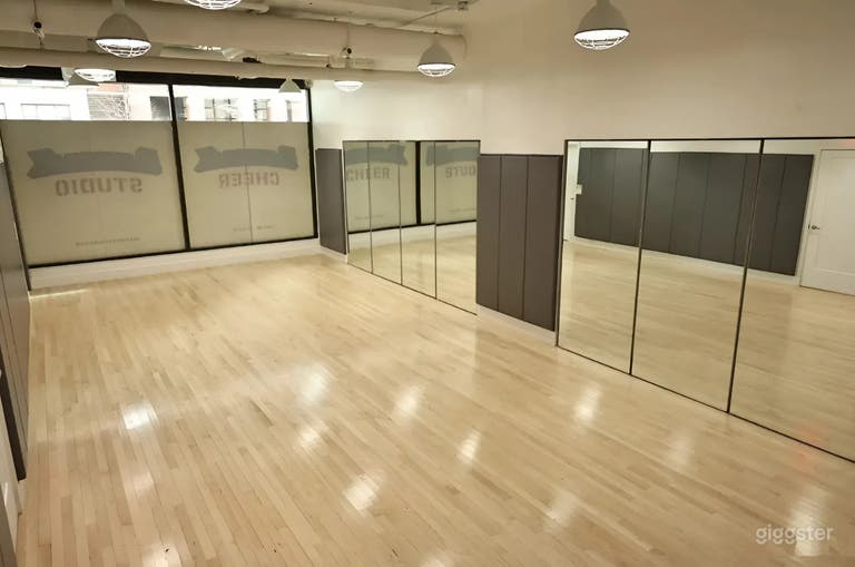  Spacious 510 sq. ft. Studio with Mirrors, Wood Floors 