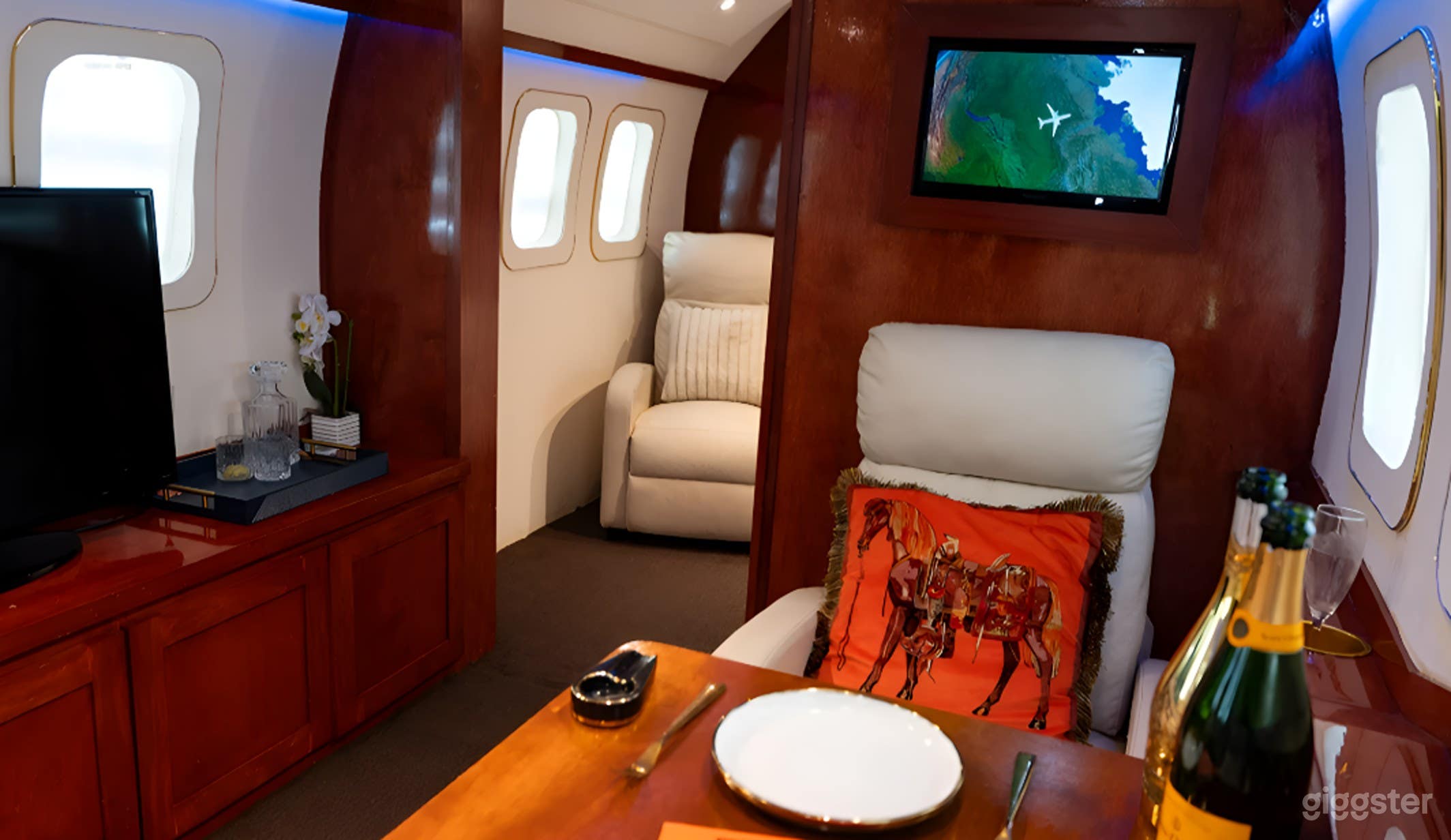 NEWLY UPGRADED Private Jet Realistic Luxury Set Photo 3