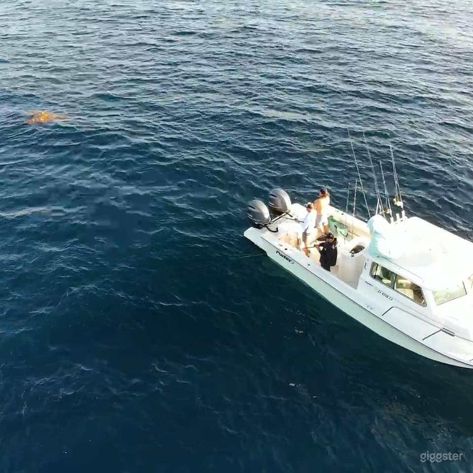Sport Fishing Boat in San Diego Photo 2
