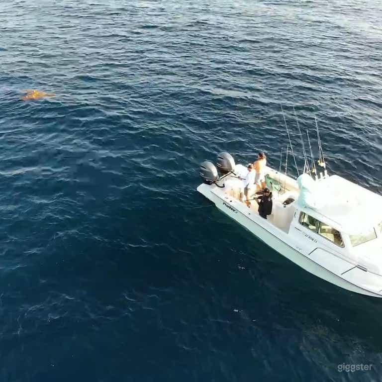  Sport Fishing Boat in San Diego 