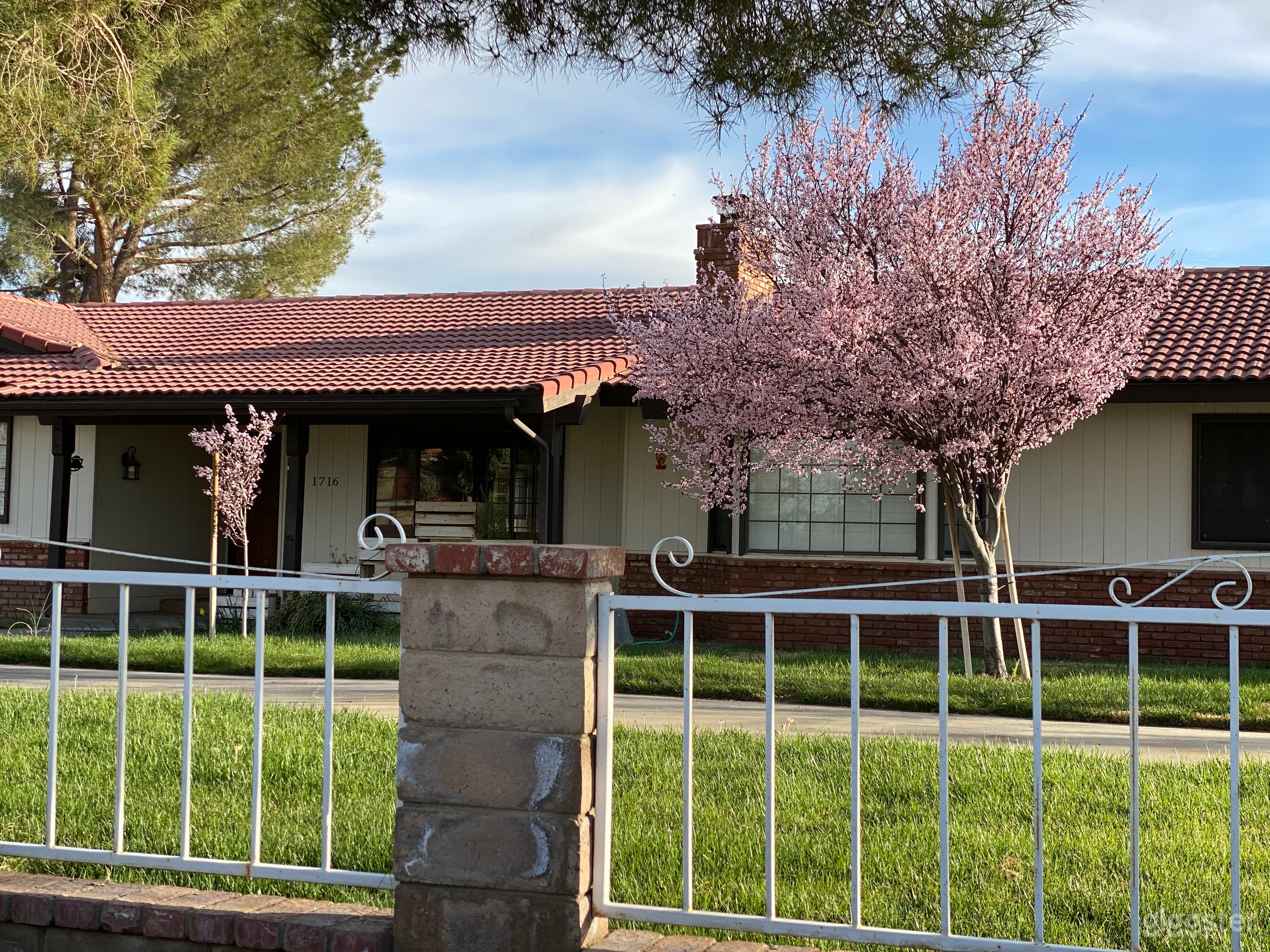 Ranch style home with barn, horses on 2.5 acres Photo 2
