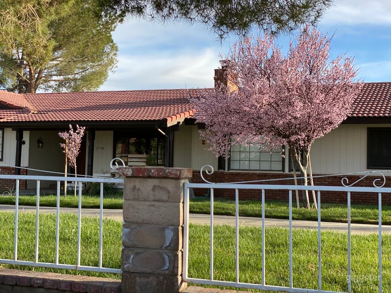  Ranch style home with barn, horses on 2.5 acres 