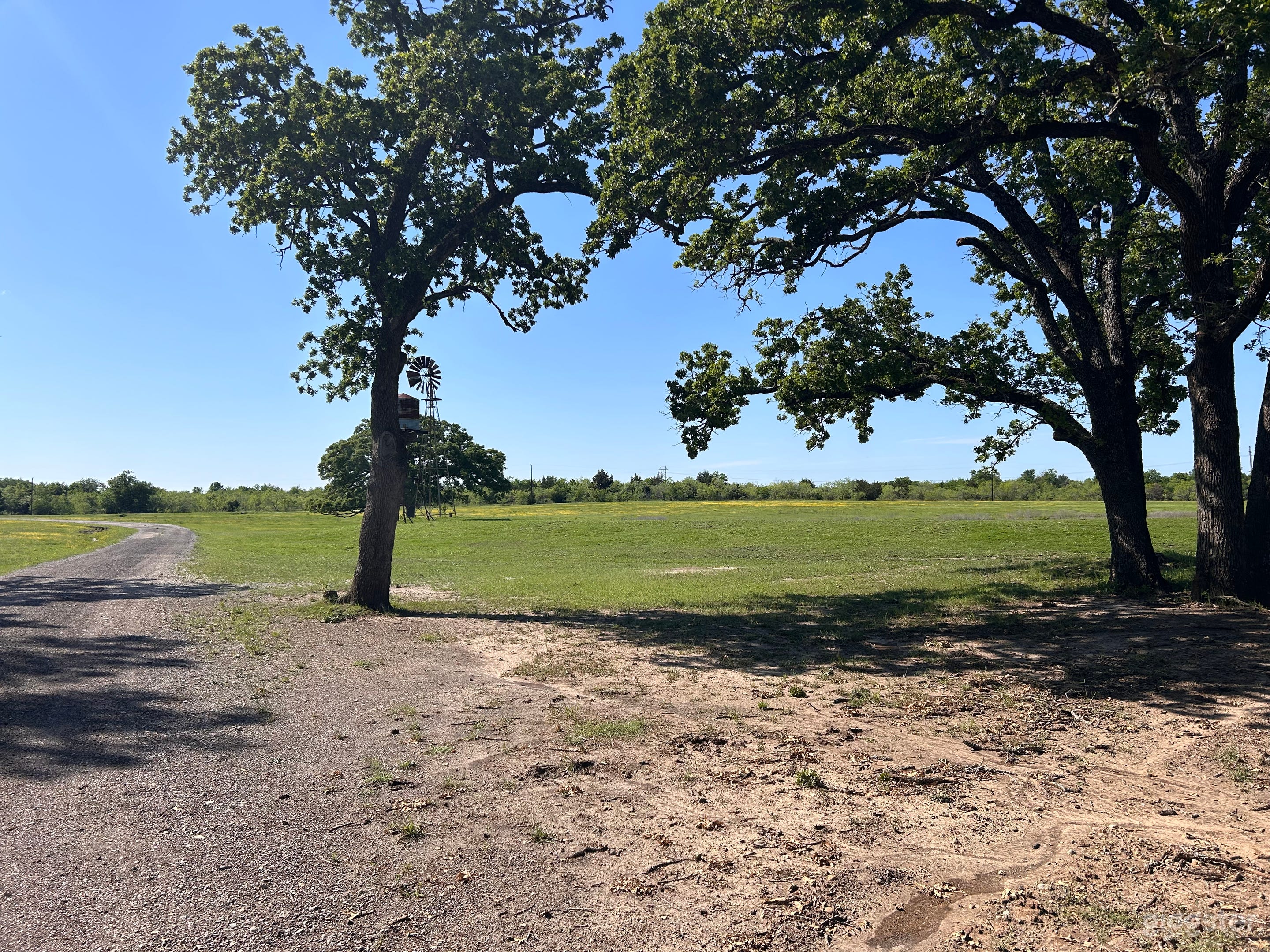 Horse Ranch with oak trees and ponds Photo 4