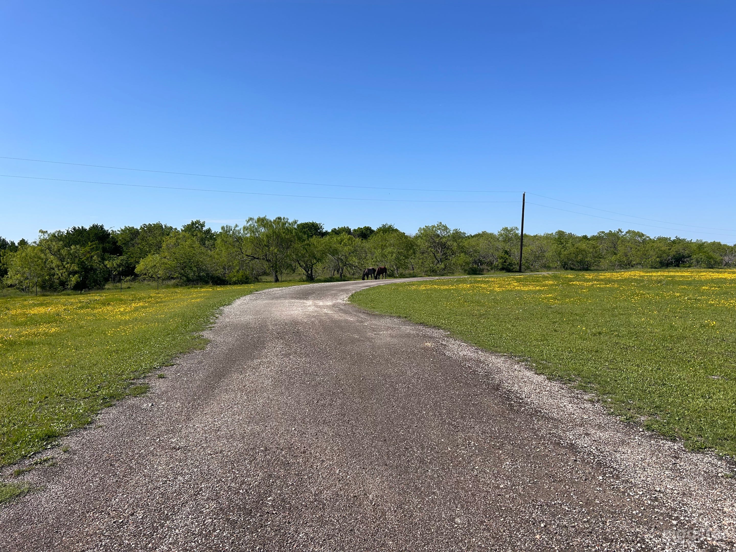 Horse Ranch with oak trees and ponds Photo 2