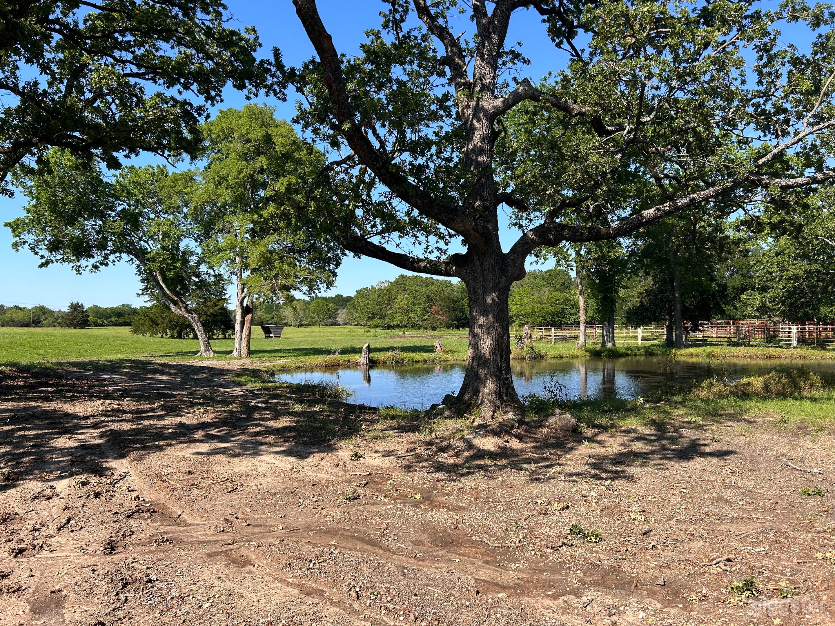 Horse Ranch with oak trees and ponds Photo 3