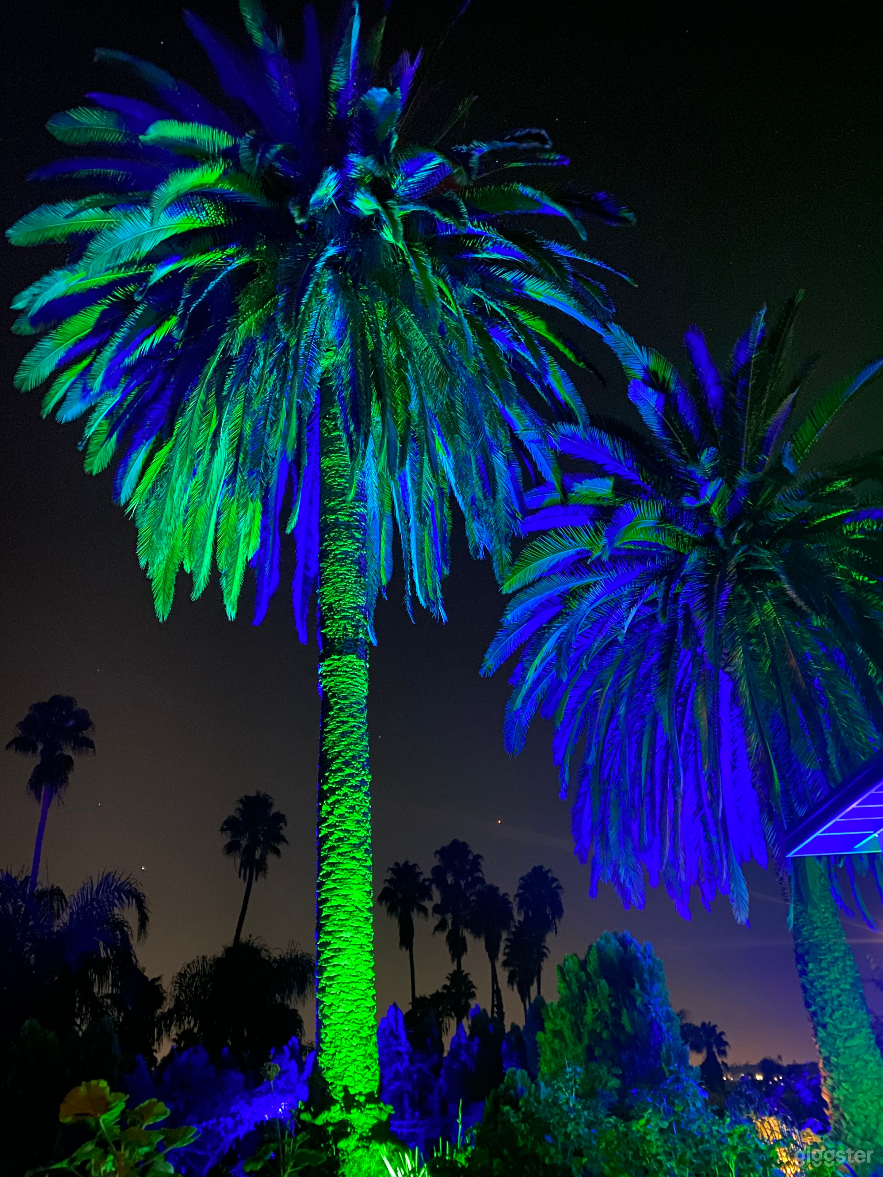 3-D night lights😊🌴