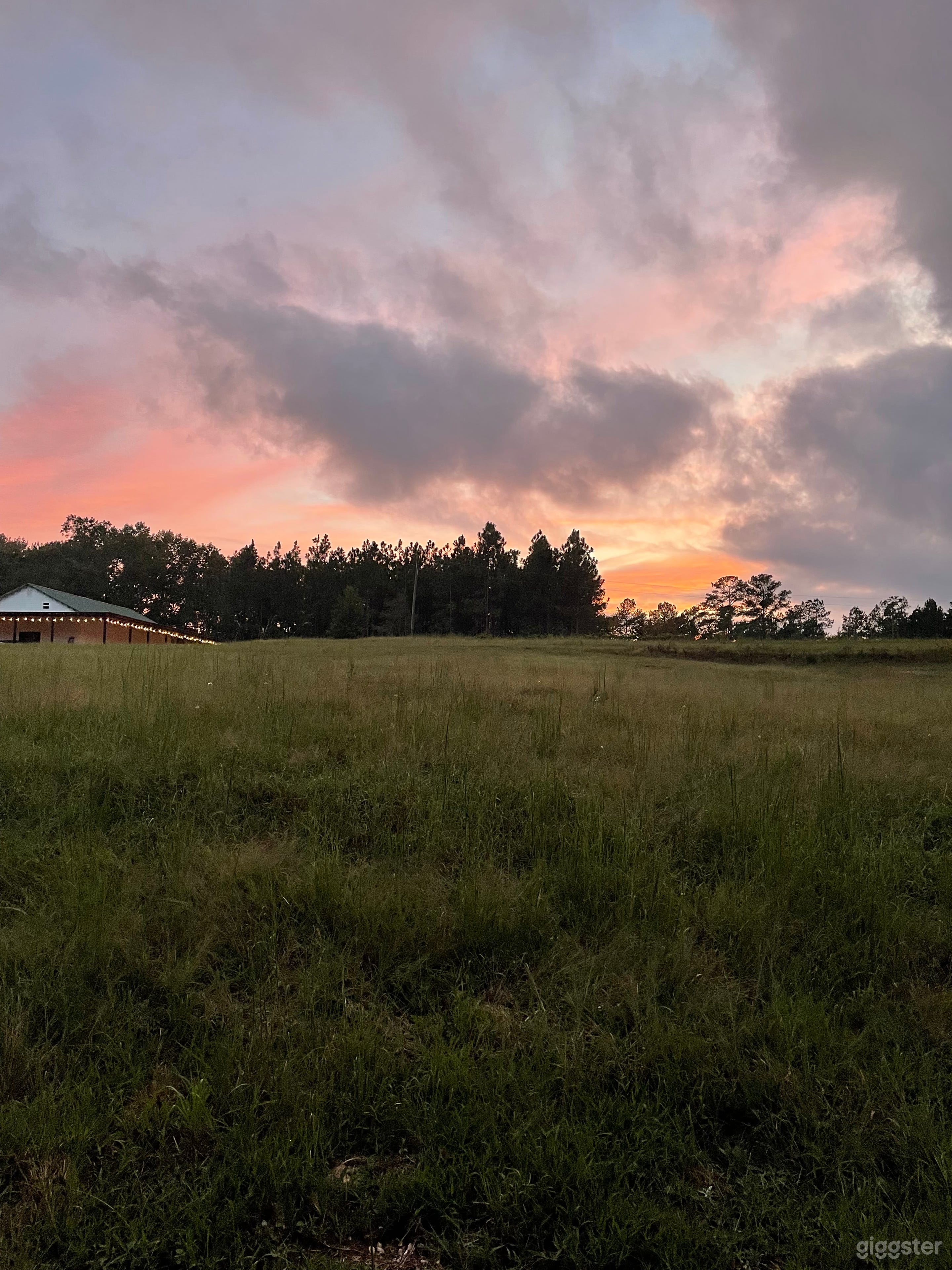 Southern Charm on >100 Acres Photo 4