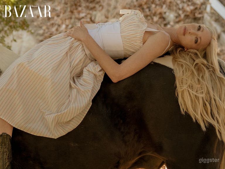  Ranch Property in Los Angeles with Camper & Horses 