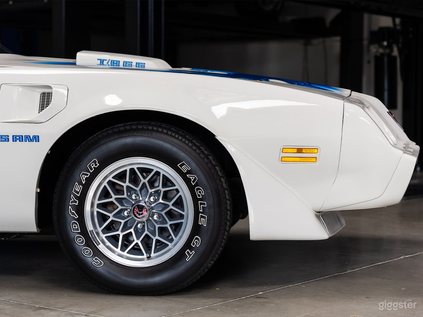 1979 Pontiac Trans Am Photo 3
