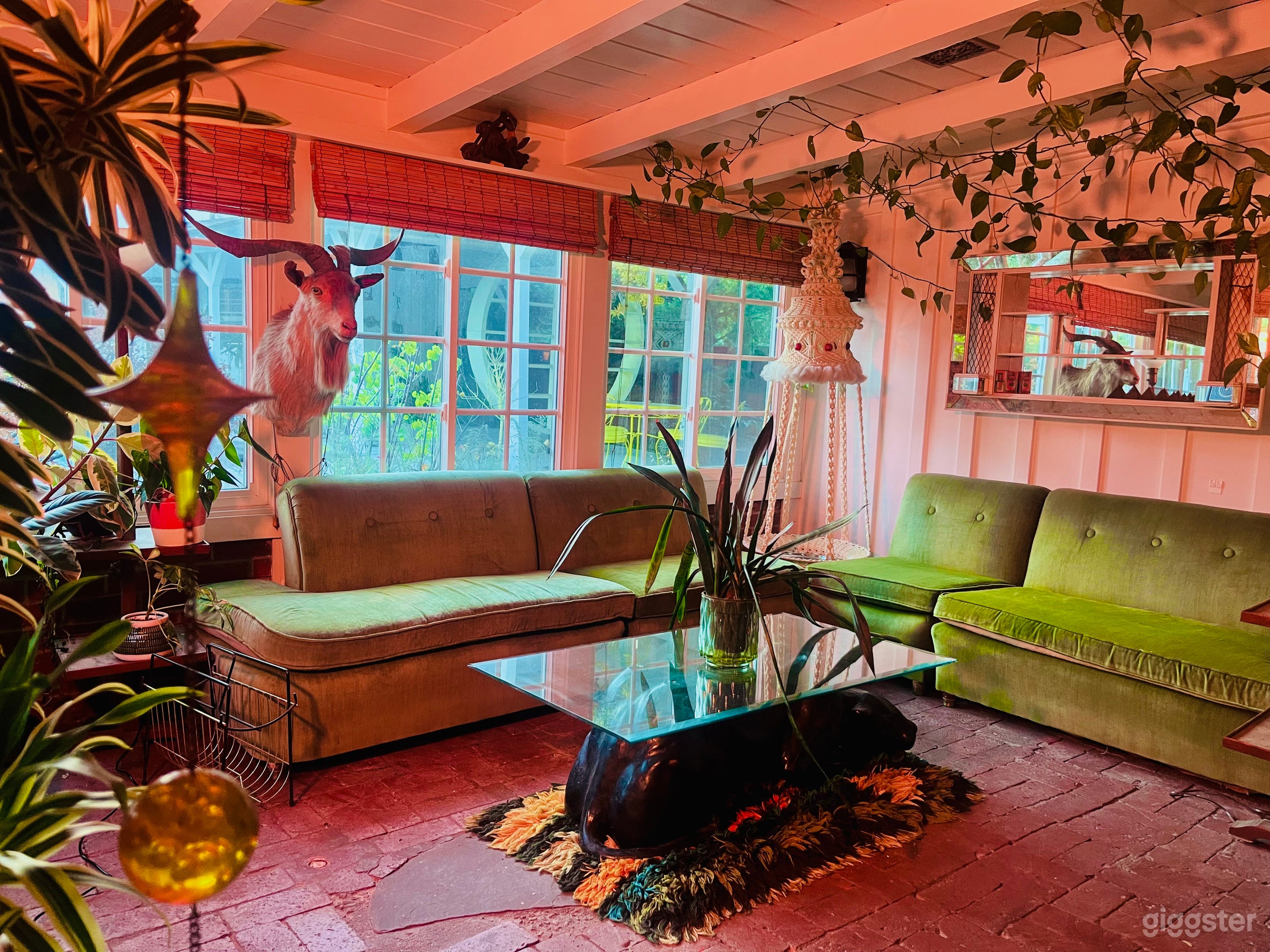 Vintage 40s–70s Time-Capsule Home + Pool & Cabin Photo 2