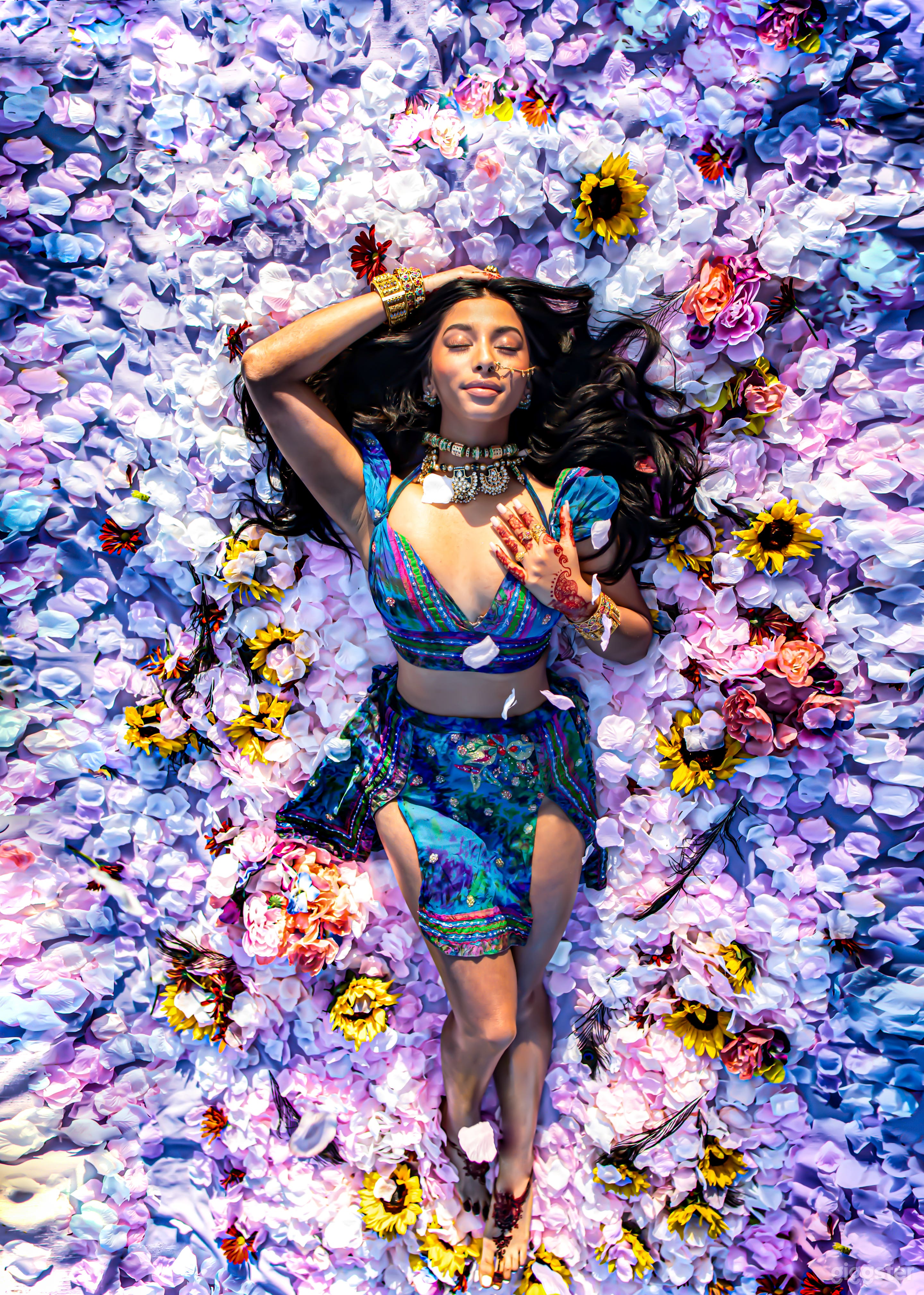 Fairytale forest and sunflower fields Photo 2