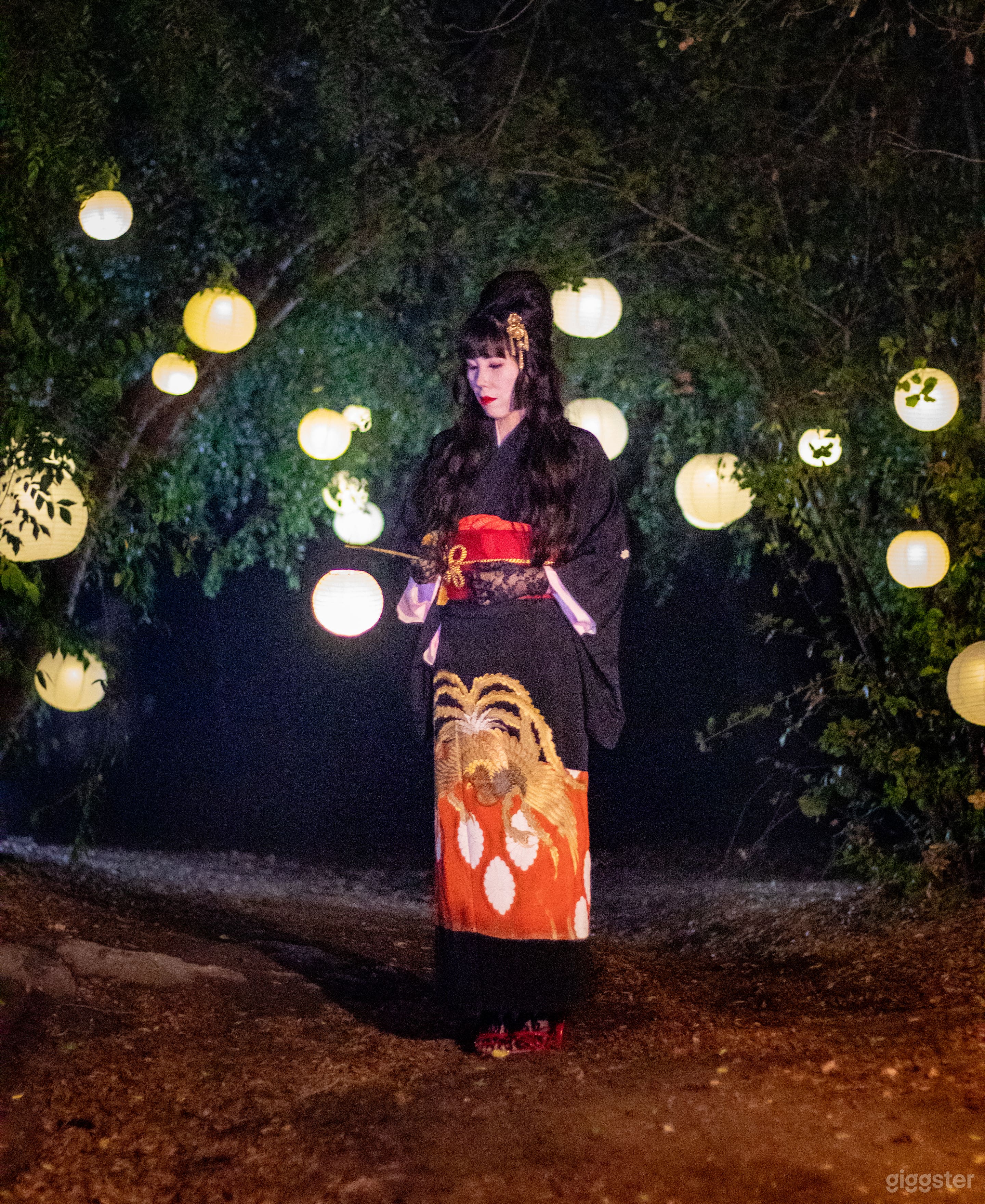 Fairytale forest and sunflower fields Photo 1