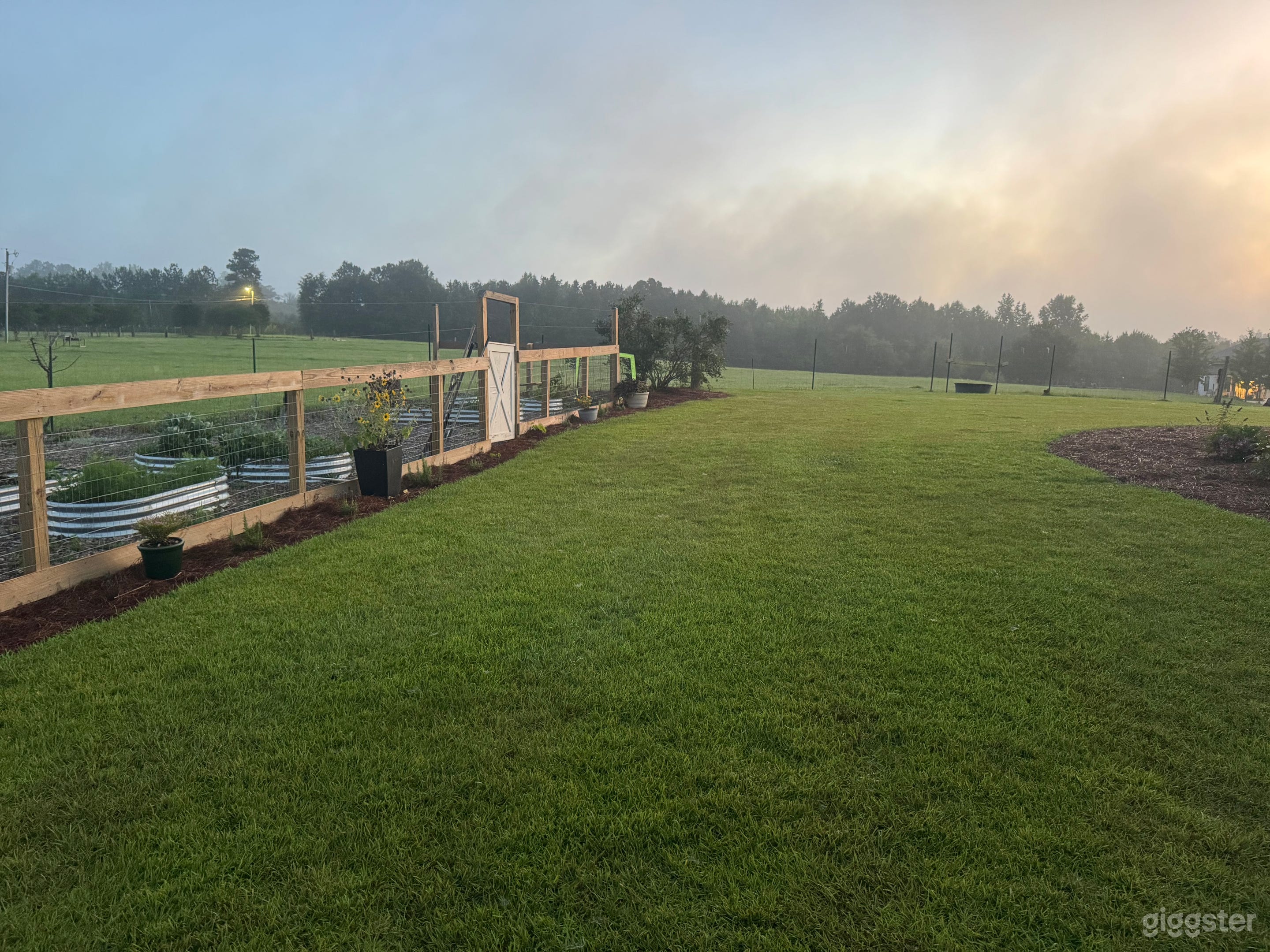 Capture the beauty of Fields and Pasture Photo 4