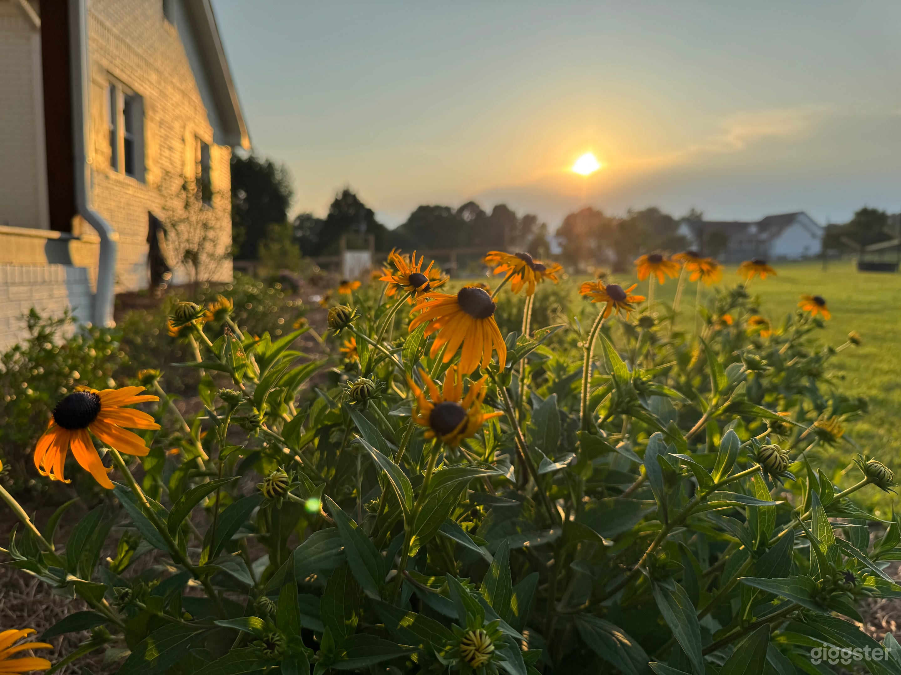 Capture the beauty of Fields and Pasture Photo 3
