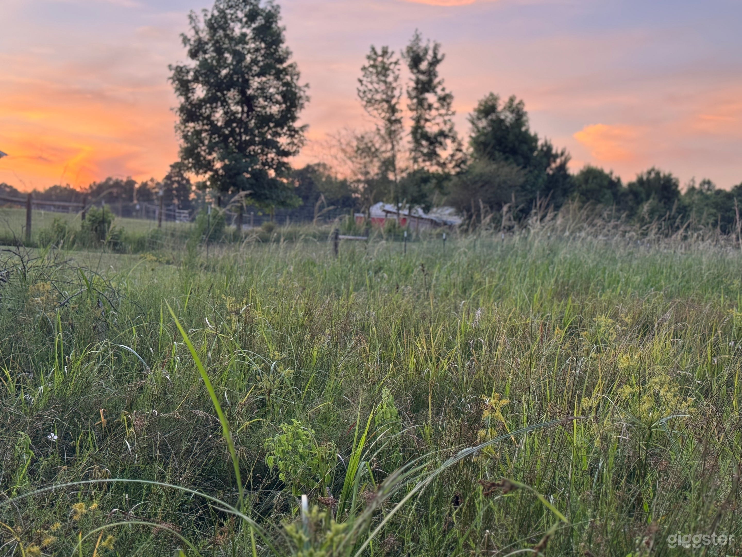 Capture the beauty of Fields and Pasture Photo 2