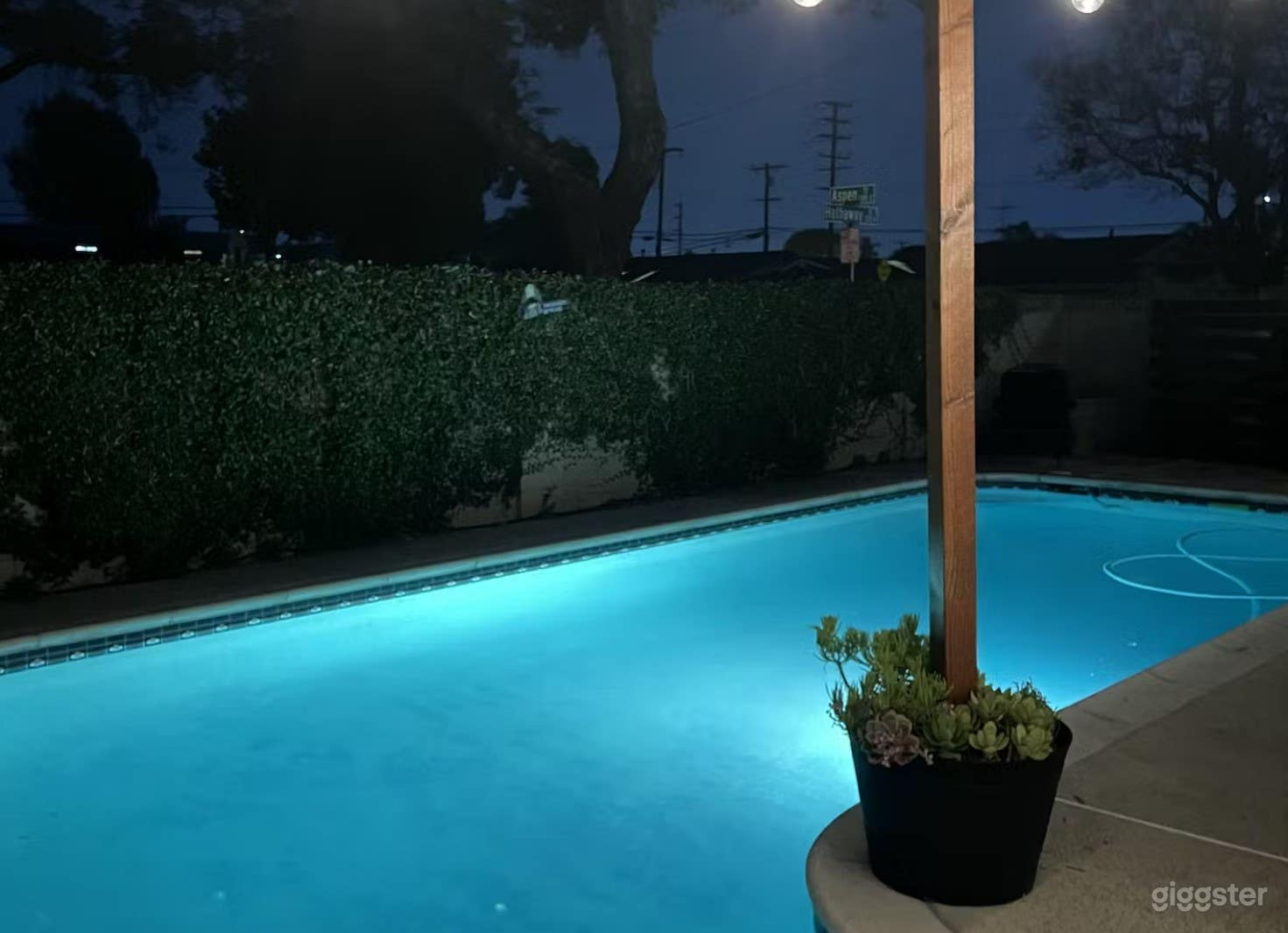 Family backyard Photo 1