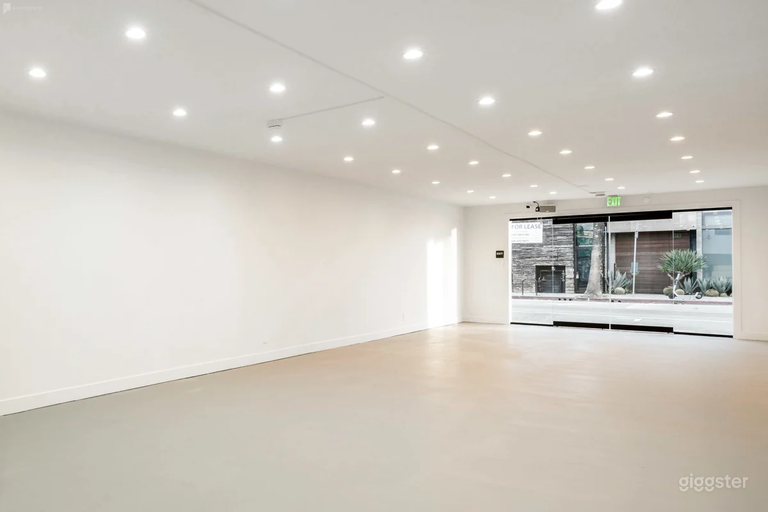  Well-Lit Charming Gallery Space 