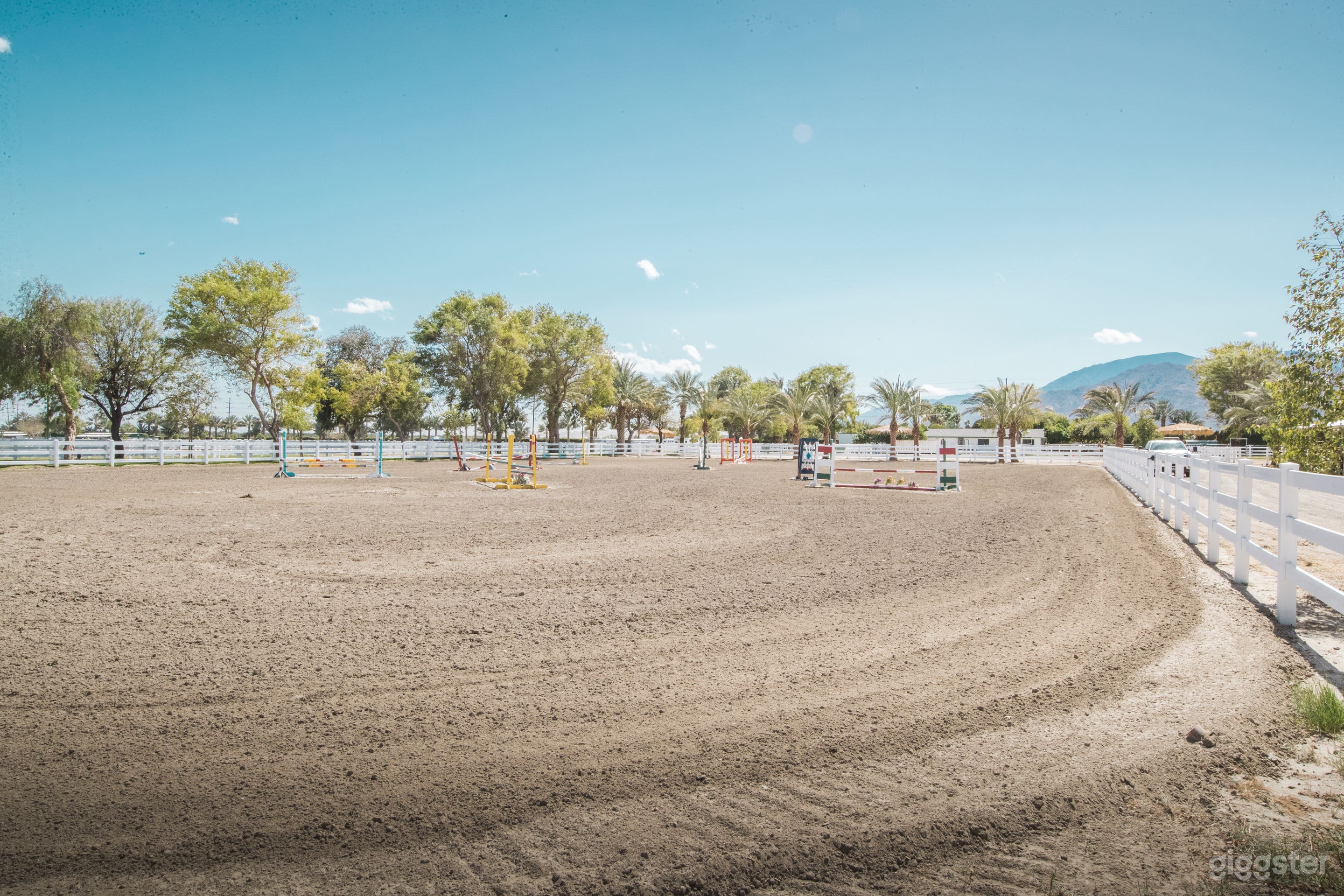 Polo Equestrian  Photo 3