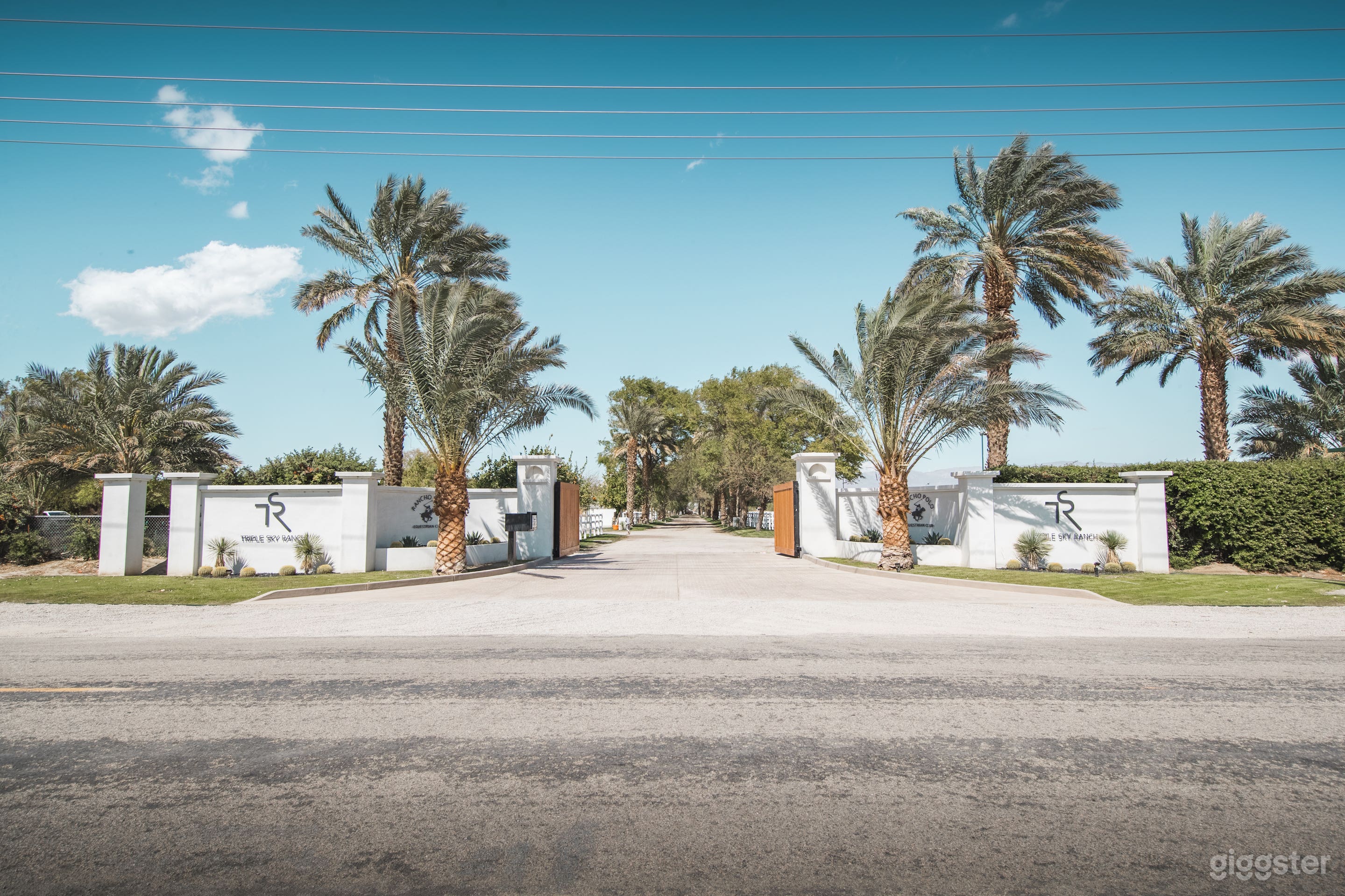 Polo Equestrian  Photo 1