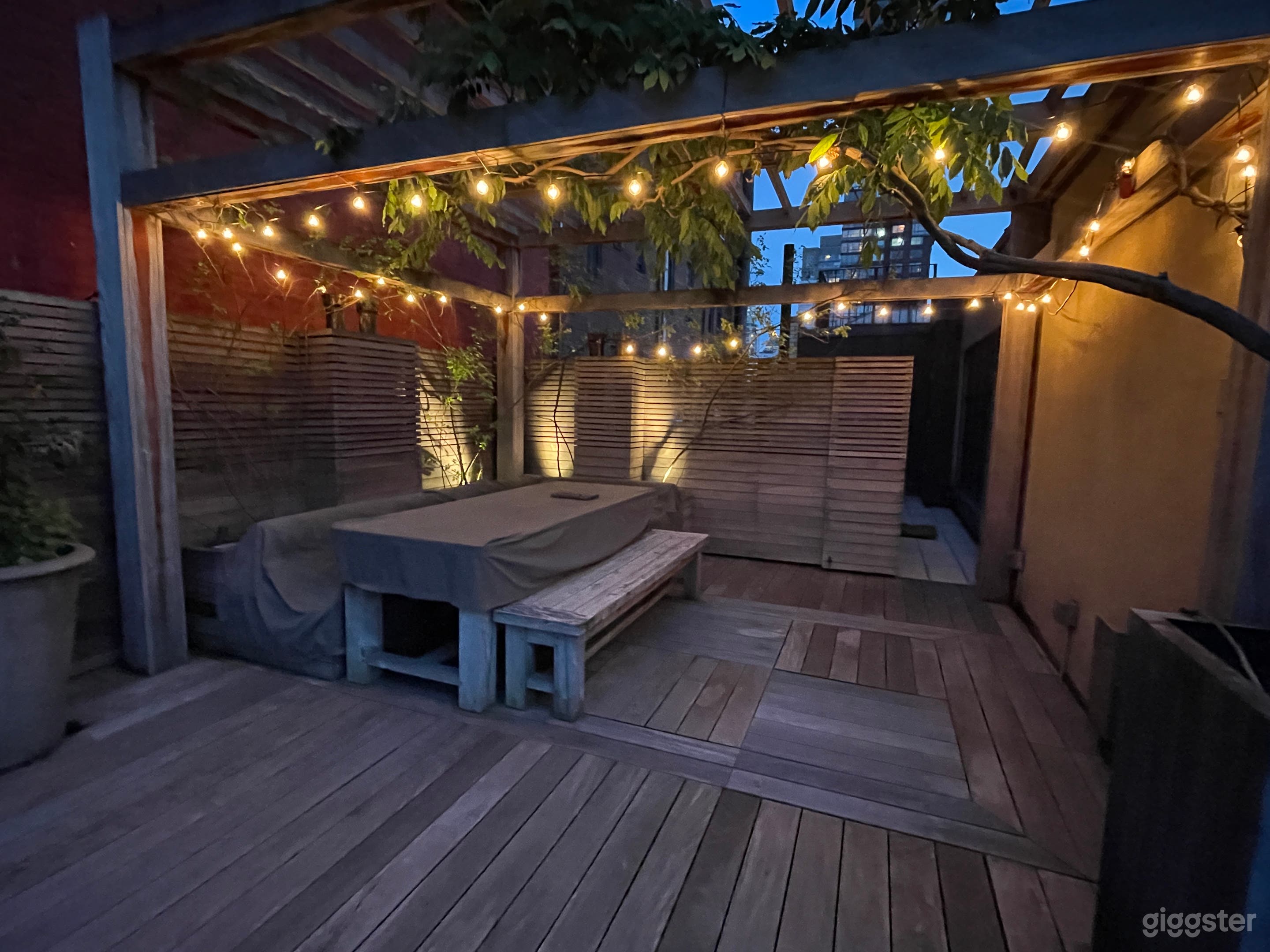 Penthouse Private Roof Deck 2000 sq ft Photo 2