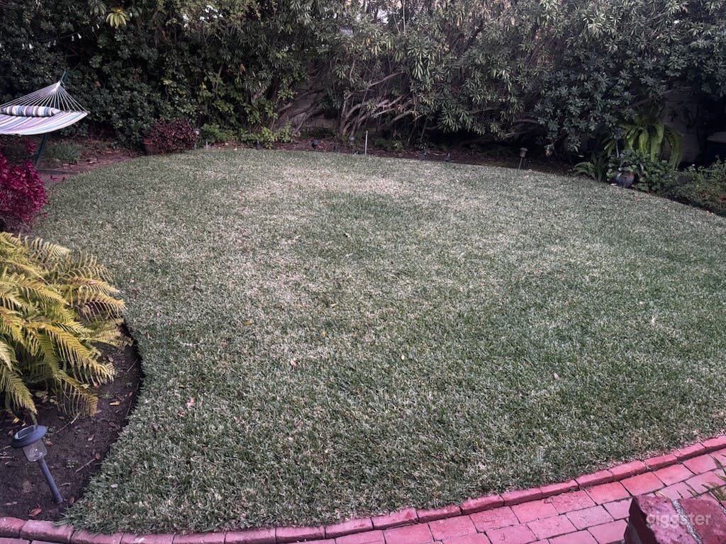 Romantic Garden and Lush Backyard Haven Photo 2