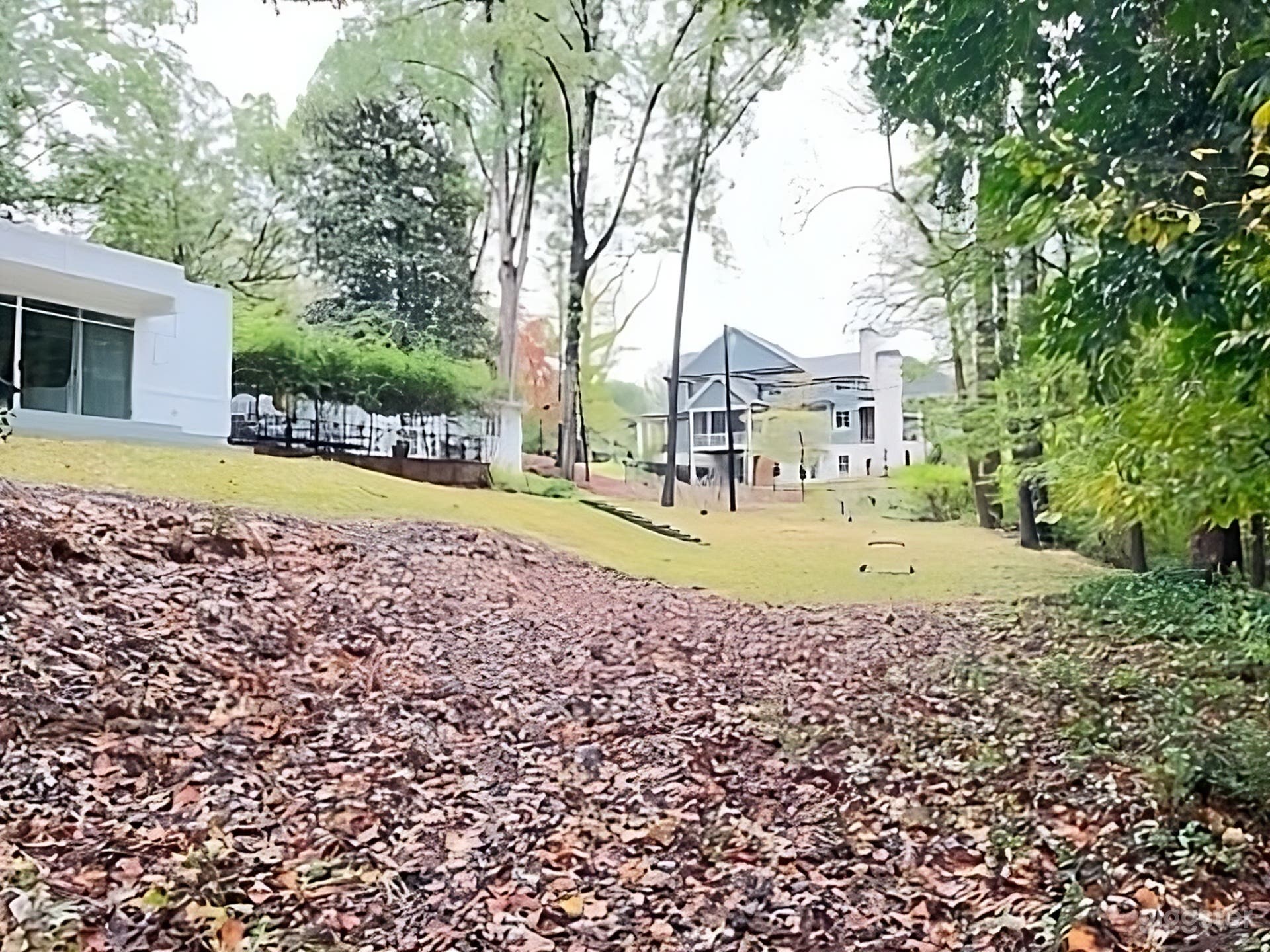 Secluded Wooded Backyard Photo 4