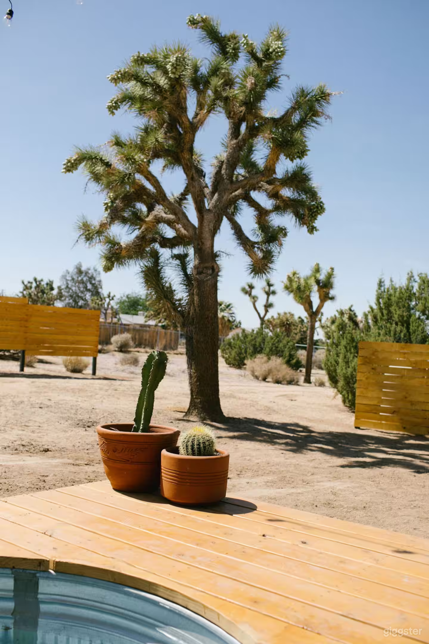 The Hi Desert Onyx  Photo 3