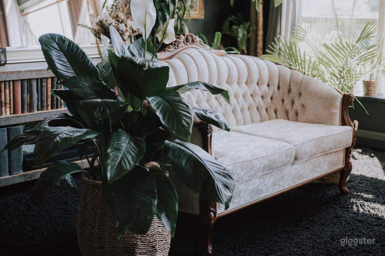  Loft Garden Oasis In Mt Pleasant 