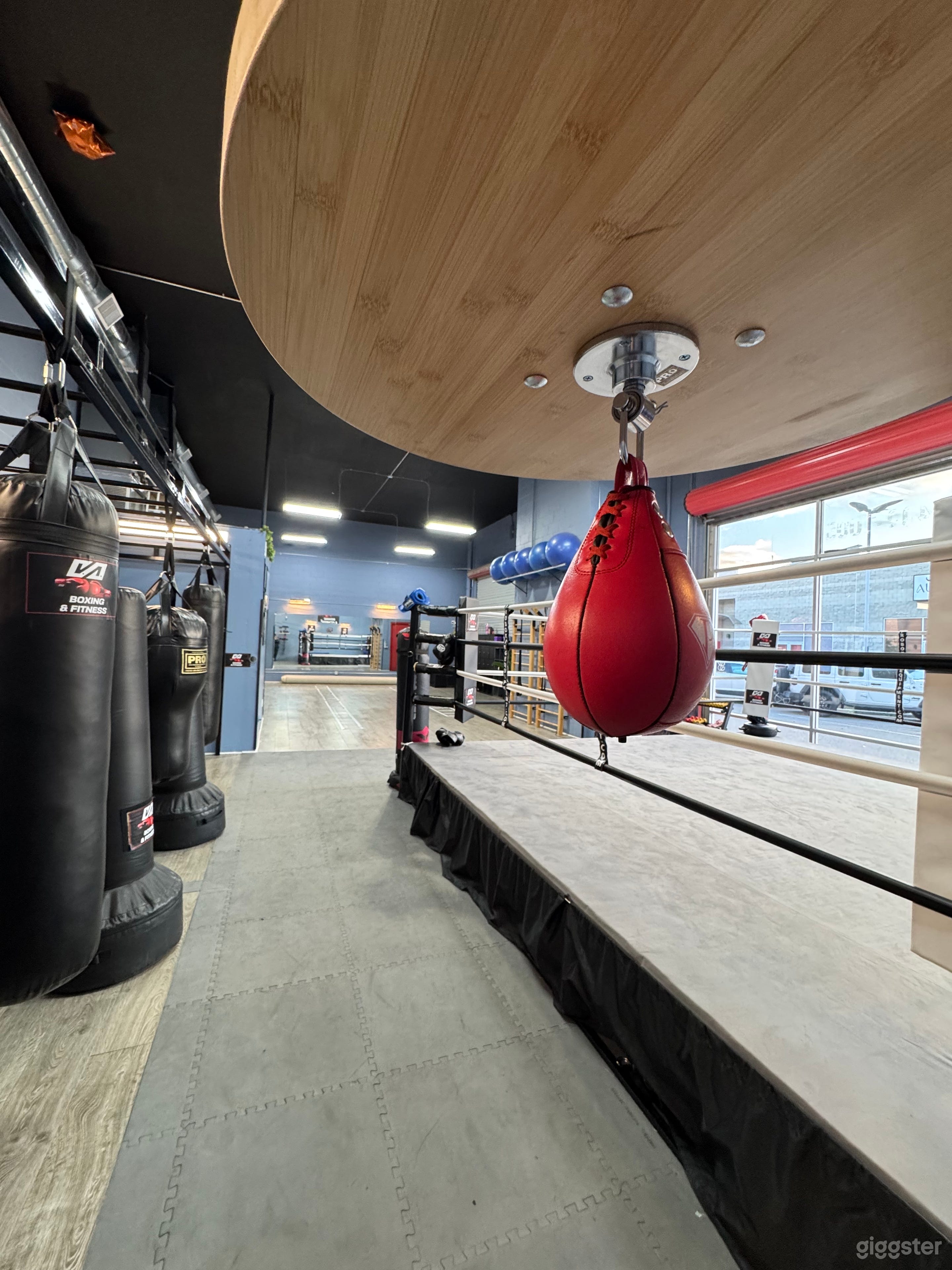 Where Boxing Power Meets Gymnastics Precision Photo 1