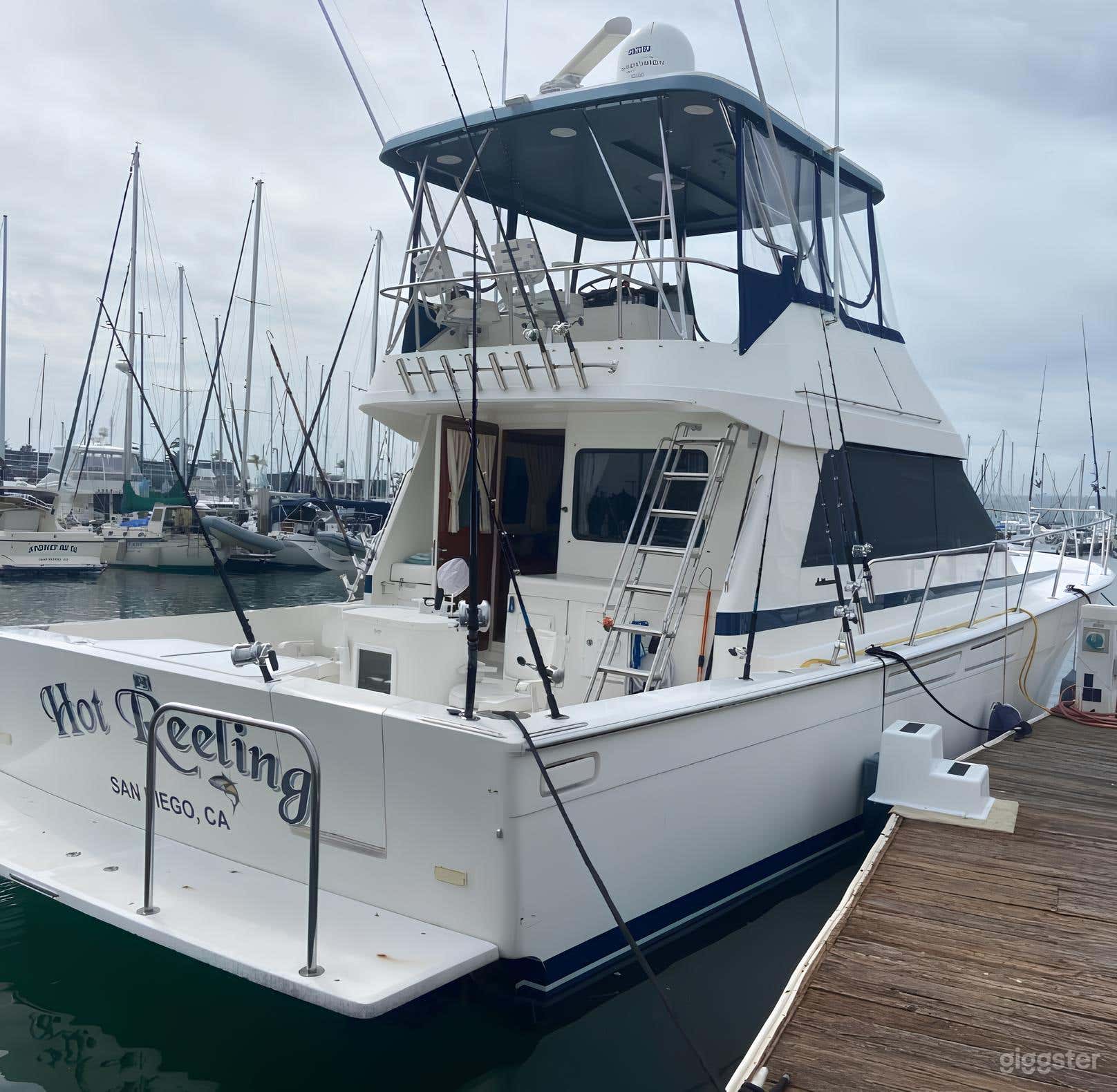 Hot Reeling 54' FISHING CHARTER Photo 1