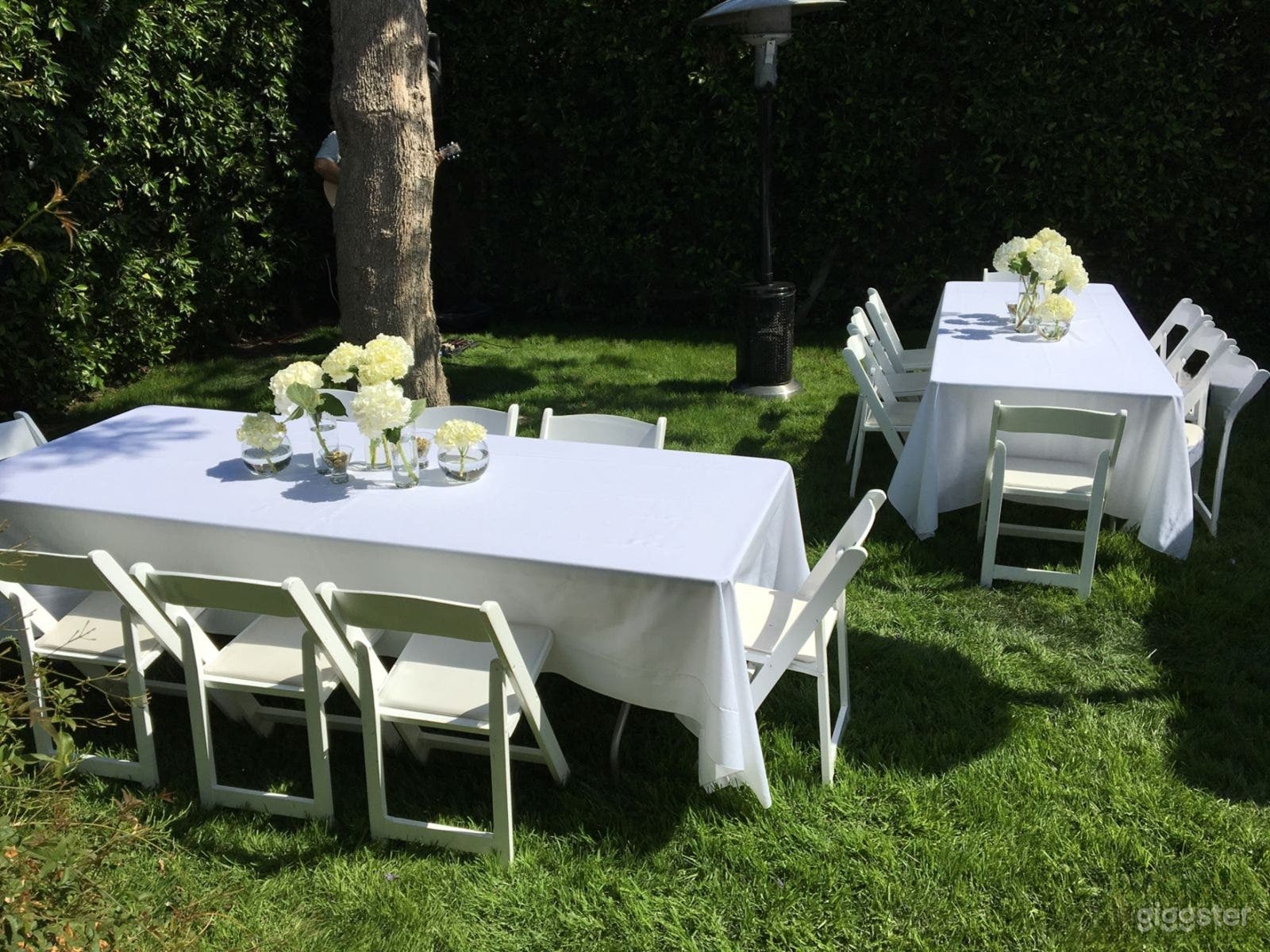 Lush Corner-Lot Backyard Sanctuary Photo 3