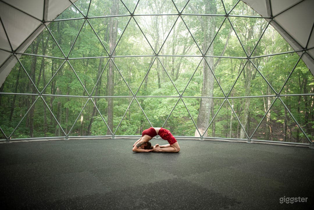 Unique Venue Space in a Magical Forest Area Photo 1