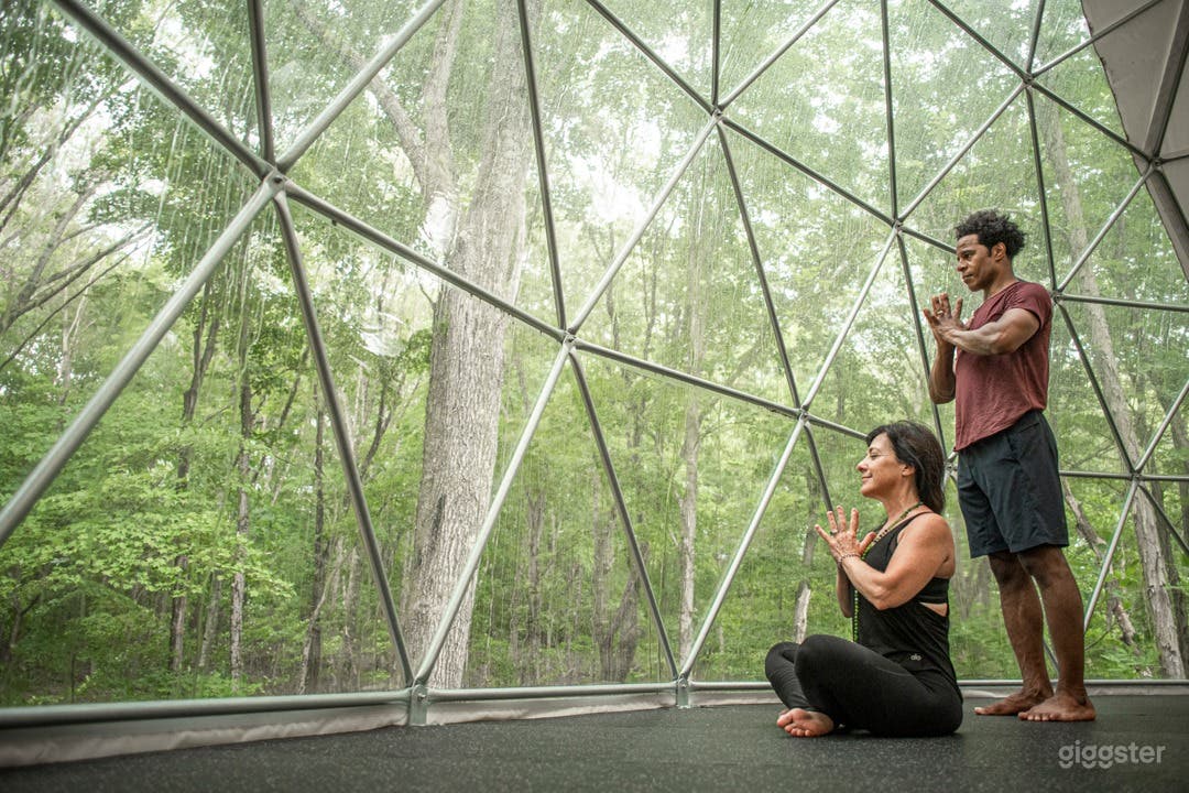 Unique Venue Space in a Magical Forest Area Photo 4