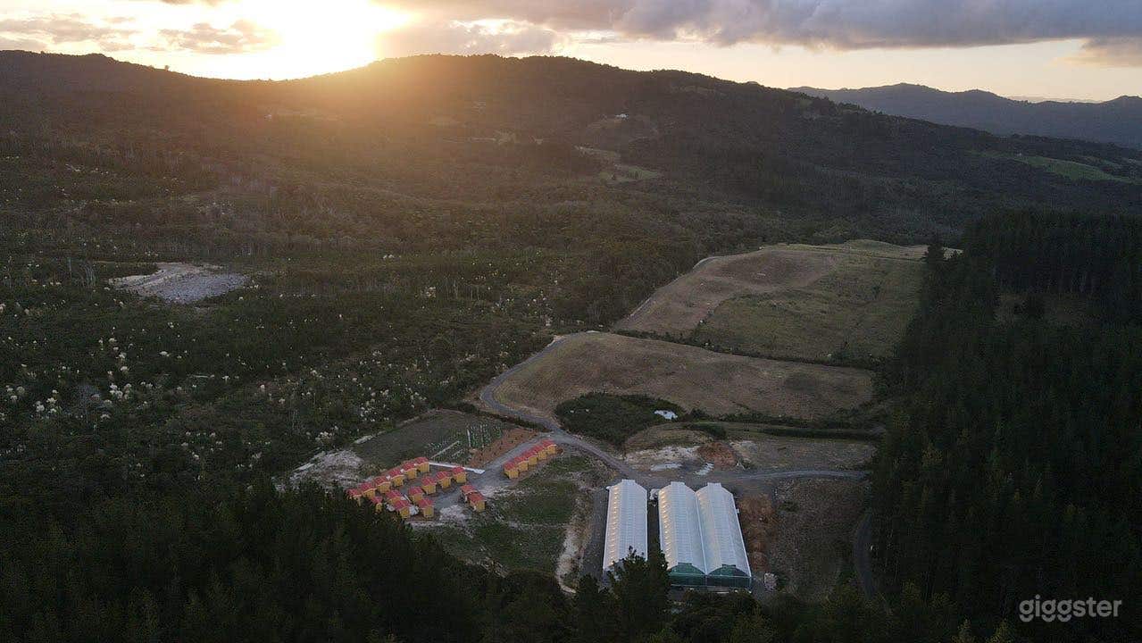 A Private Native &amp; Pine Forest Sanctuary. Photo 3