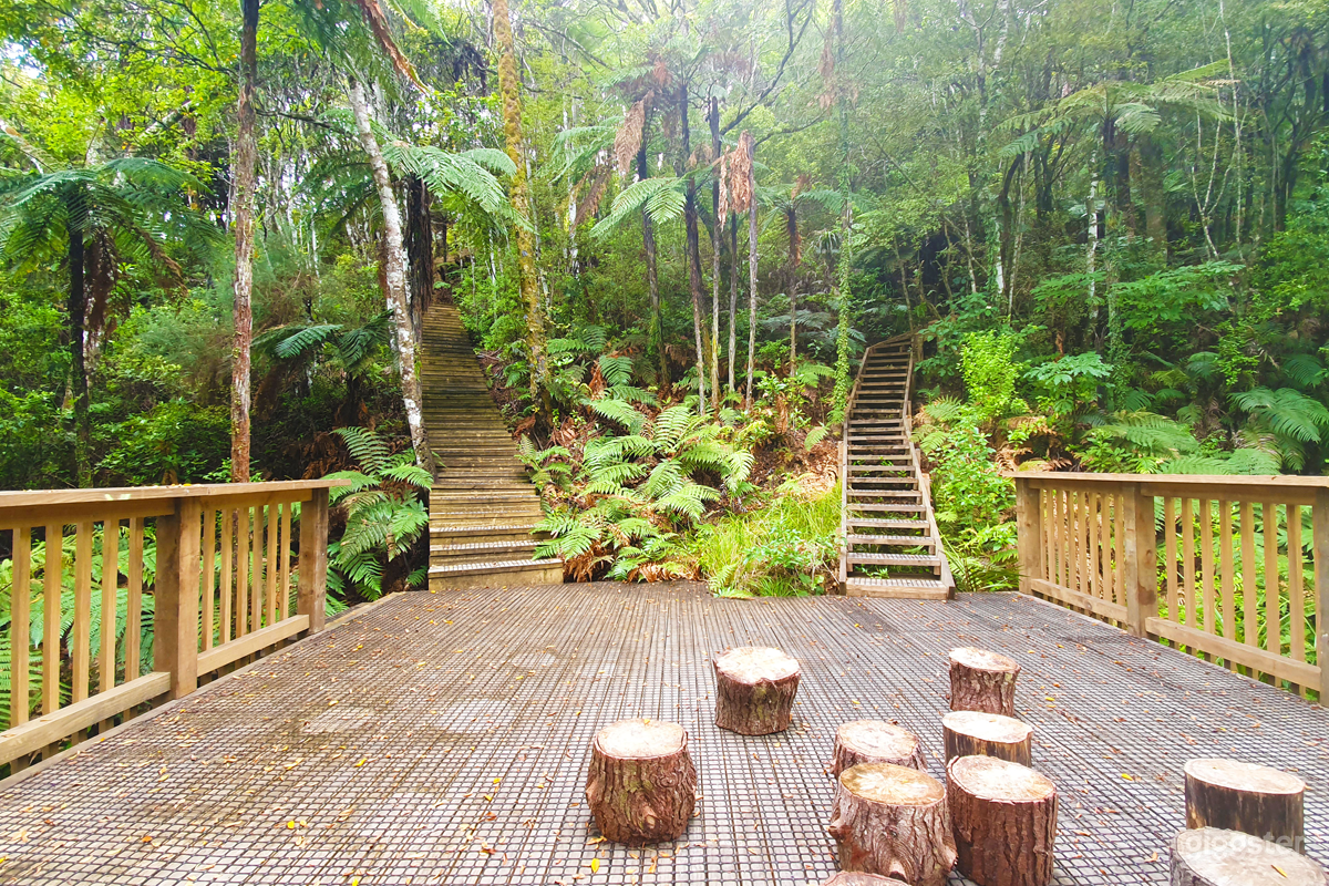 A Private Native &amp; Pine Forest Sanctuary. Photo 1