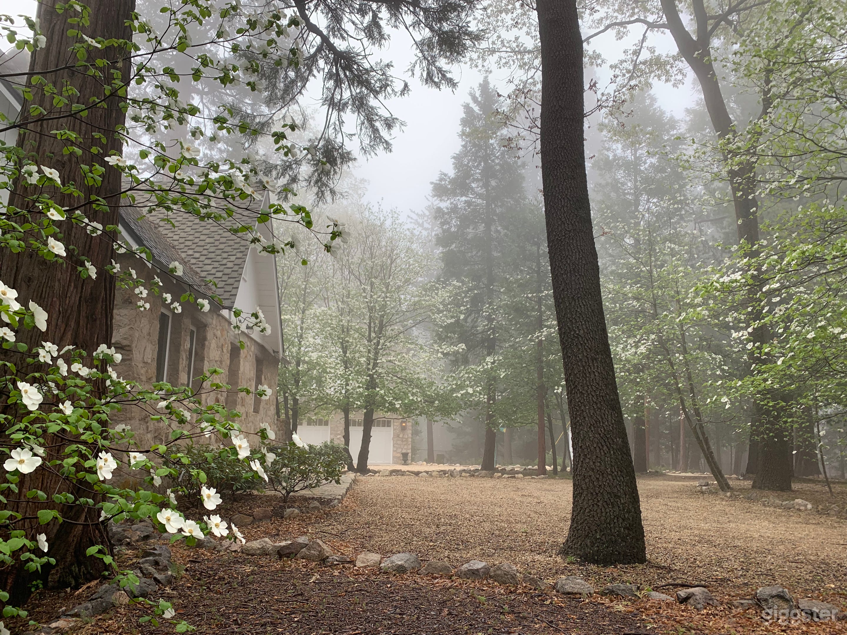 Driveway to home in Spring